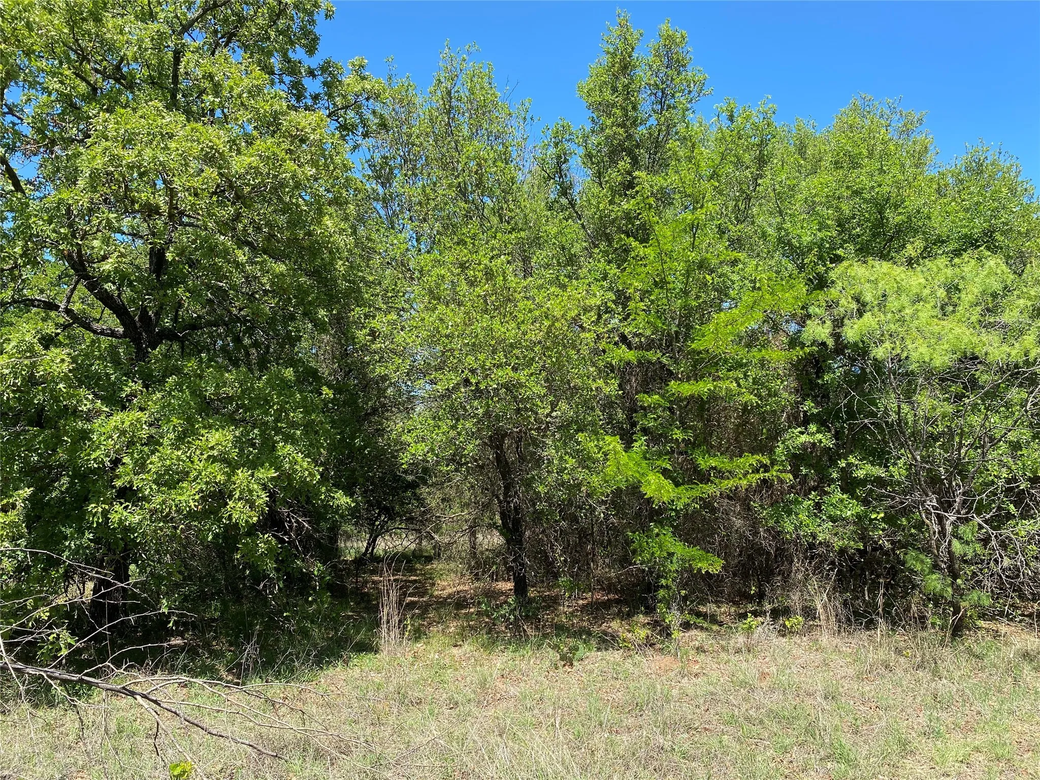 Unimproved Land For Sale in Wise County , TBD Miller Creek Lake Road, Paradise, Texas 76073, 0, 0, Garage spaces, 0 Sqft, built in 0, mls#20877045, Real Estate Agent in Paradise, Homes For Sale in Wise county, Homes For Sale in Paradise, Realtor in Paradise Texas, Real Estate Brokerage Independent Realty Texas, Luminita Cordes Realtor