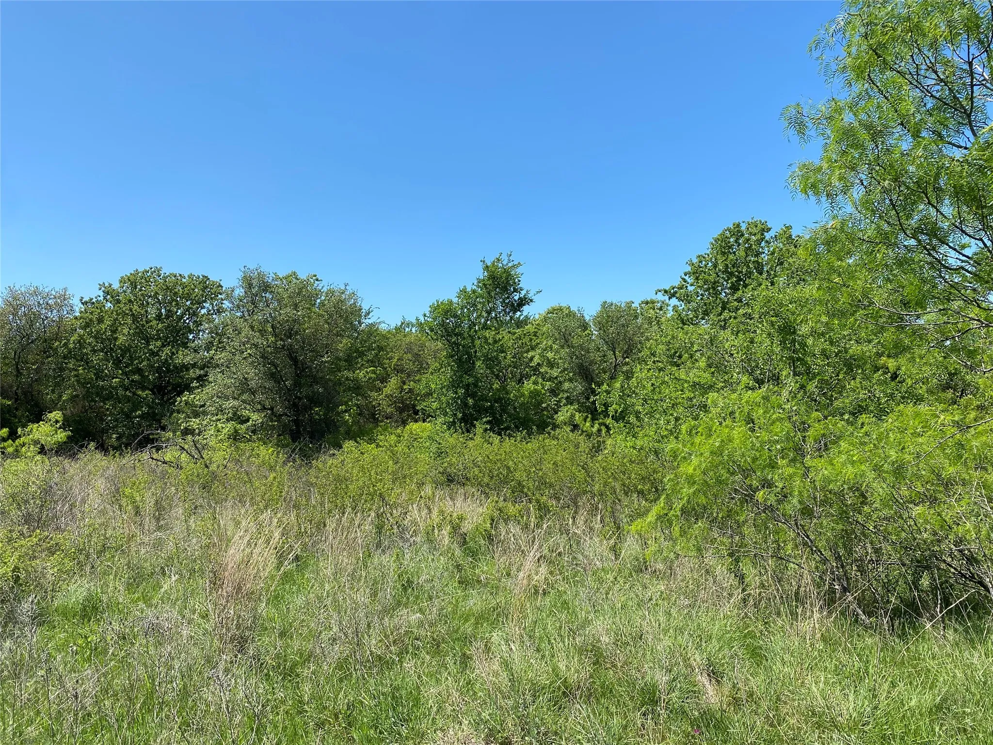 Unimproved Land For Sale in Wise County , TBD Miller Creek Lake Road, Paradise, Texas 76073, 0, 0, Garage spaces, 0 Sqft, built in 0, mls#20877045, Real Estate Agent in Paradise, Homes For Sale in Wise county, Homes For Sale in Paradise, Realtor in Paradise Texas, Real Estate Brokerage Independent Realty Texas, Luminita Cordes Realtor