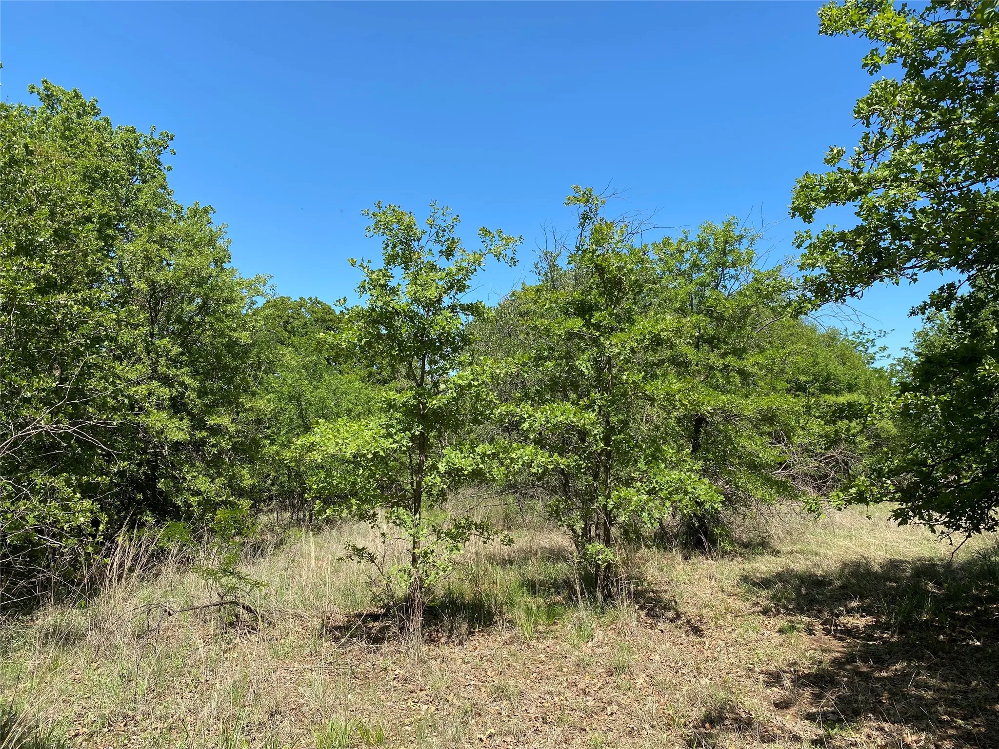 Unimproved Land For Sale in Wise County , TBD Miller Creek Lake Road, Paradise, Texas 76073, 0, 0, Garage spaces, 0 Sqft, built in 0, mls#20877045, Real Estate Agent in Paradise, Homes For Sale in Wise county, Homes For Sale in Paradise, Realtor in Paradise Texas, Real Estate Brokerage Independent Realty Texas, Luminita Cordes Realtor