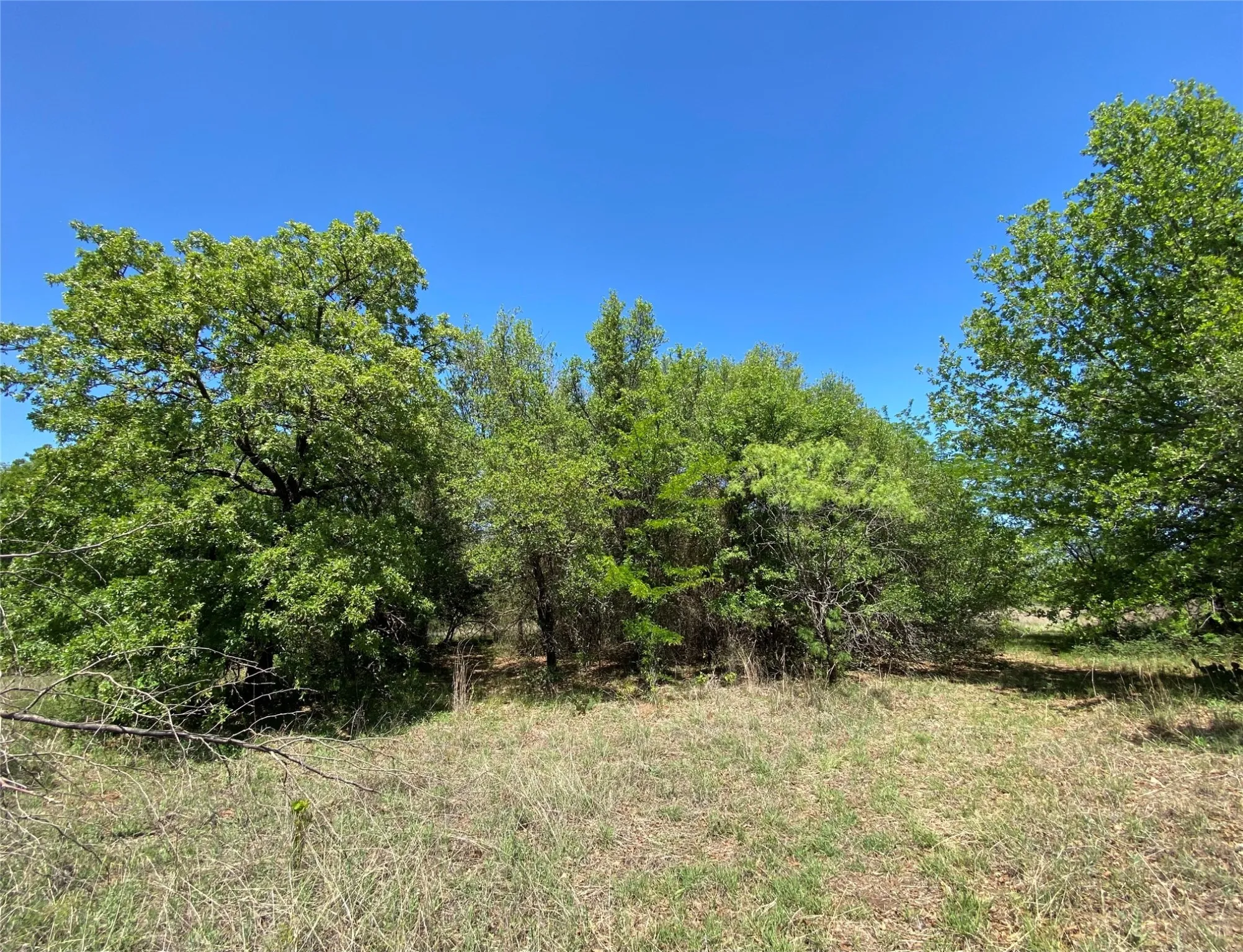 Unimproved Land For Sale in Wise County , TBD Miller Creek Lake Road, Paradise, Texas 76073, 0, 0, Garage spaces, 0 Sqft, built in 0, mls#20877045, Real Estate Agent in Paradise, Homes For Sale in Wise county, Homes For Sale in Paradise, Realtor in Paradise Texas, Real Estate Brokerage Independent Realty Texas, Luminita Cordes Realtor