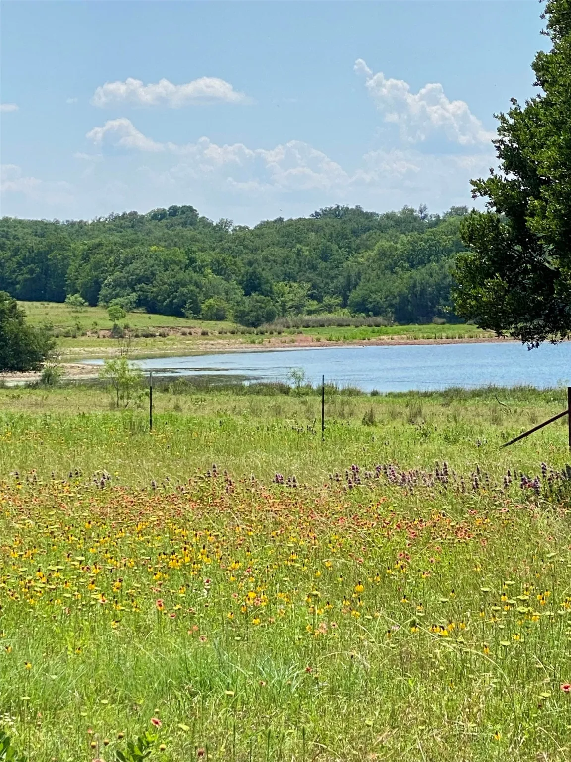 Unimproved Land For Sale in Wise County , TBD Miller Creek Lake Road, Paradise, Texas 76073, 0, 0, Garage spaces, 0 Sqft, built in 0, mls#20877045, Real Estate Agent in Paradise, Homes For Sale in Wise county, Homes For Sale in Paradise, Realtor in Paradise Texas, Real Estate Brokerage Independent Realty Texas, Luminita Cordes Realtor