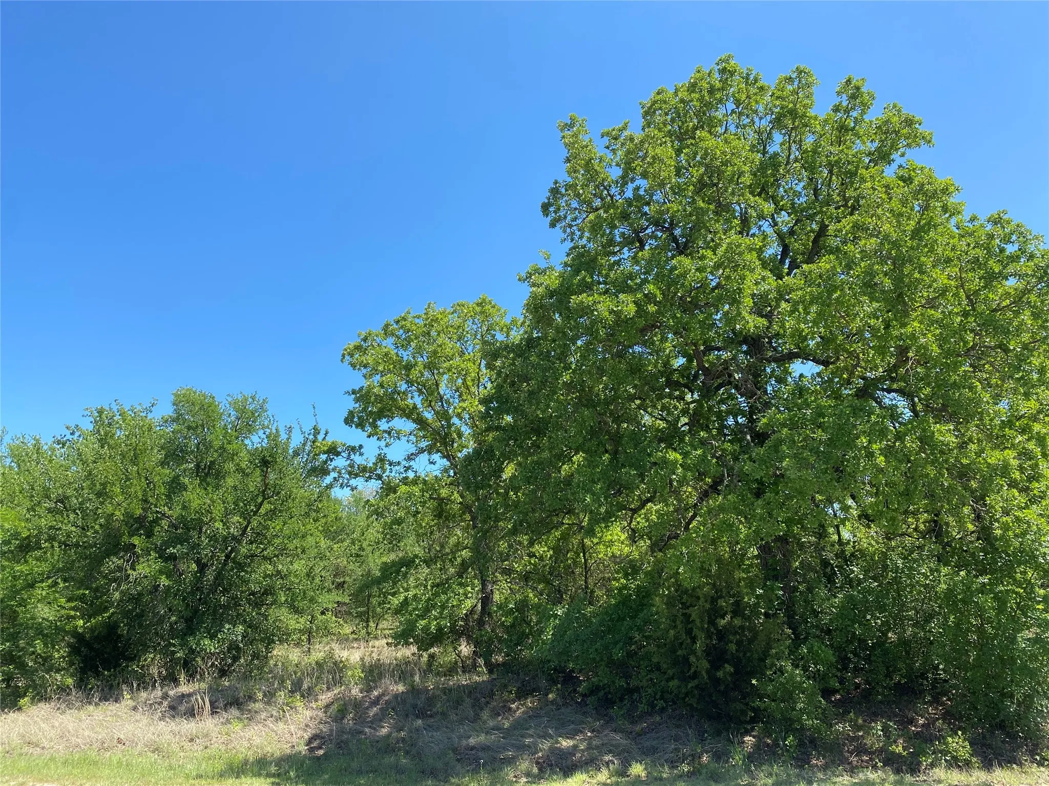 Unimproved Land For Sale in Wise County , TBD Miller Creek Lake Road, Paradise, Texas 76073, 0, 0, Garage spaces, 0 Sqft, built in 0, mls#20877045, Real Estate Agent in Paradise, Homes For Sale in Wise county, Homes For Sale in Paradise, Realtor in Paradise Texas, Real Estate Brokerage Independent Realty Texas, Luminita Cordes Realtor