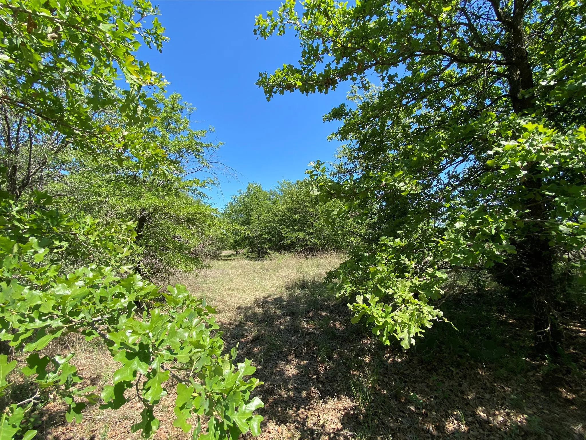 Unimproved Land For Sale in Wise County , TBD Miller Creek Lake Road, Paradise, Texas 76073, 0, 0, Garage spaces, 0 Sqft, built in 0, mls#20877045, Real Estate Agent in Paradise, Homes For Sale in Wise county, Homes For Sale in Paradise, Realtor in Paradise Texas, Real Estate Brokerage Independent Realty Texas, Luminita Cordes Realtor