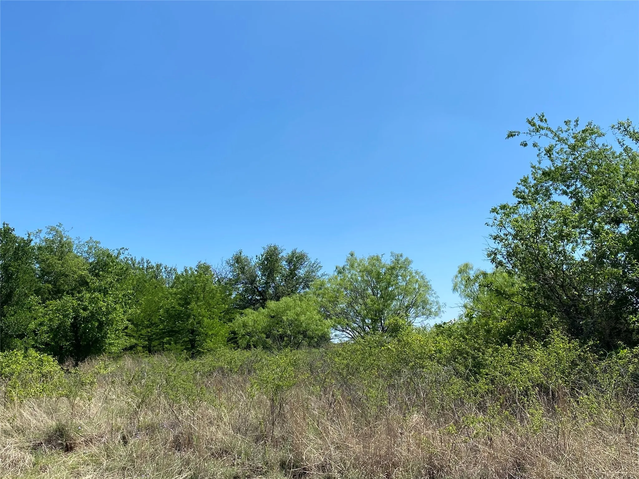 Unimproved Land For Sale in Wise County , TBD Miller Creek Lake Road, Paradise, Texas 76073, 0, 0, Garage spaces, 0 Sqft, built in 0, mls#20877045, Real Estate Agent in Paradise, Homes For Sale in Wise county, Homes For Sale in Paradise, Realtor in Paradise Texas, Real Estate Brokerage Independent Realty Texas, Luminita Cordes Realtor