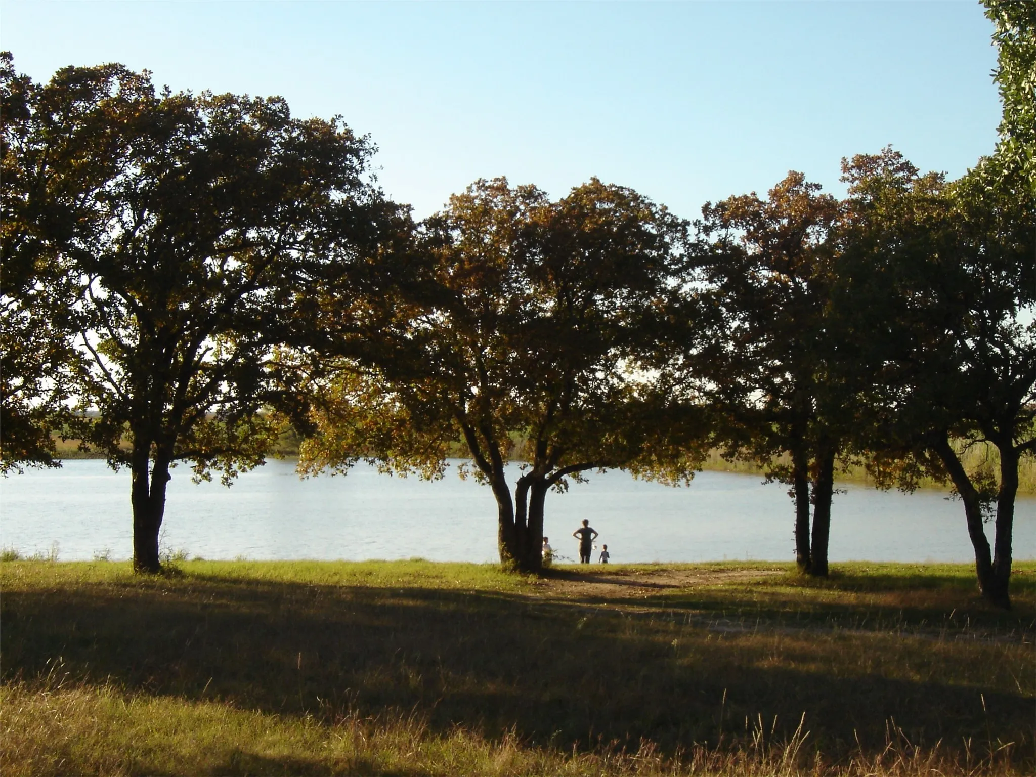 Unimproved Land For Sale in Wise County , TBD Miller Creek Lake Road, Paradise, Texas 76073, 0, 0, Garage spaces, 0 Sqft, built in 0, mls#20877045, Real Estate Agent in Paradise, Homes For Sale in Wise county, Homes For Sale in Paradise, Realtor in Paradise Texas, Real Estate Brokerage Independent Realty Texas, Luminita Cordes Realtor