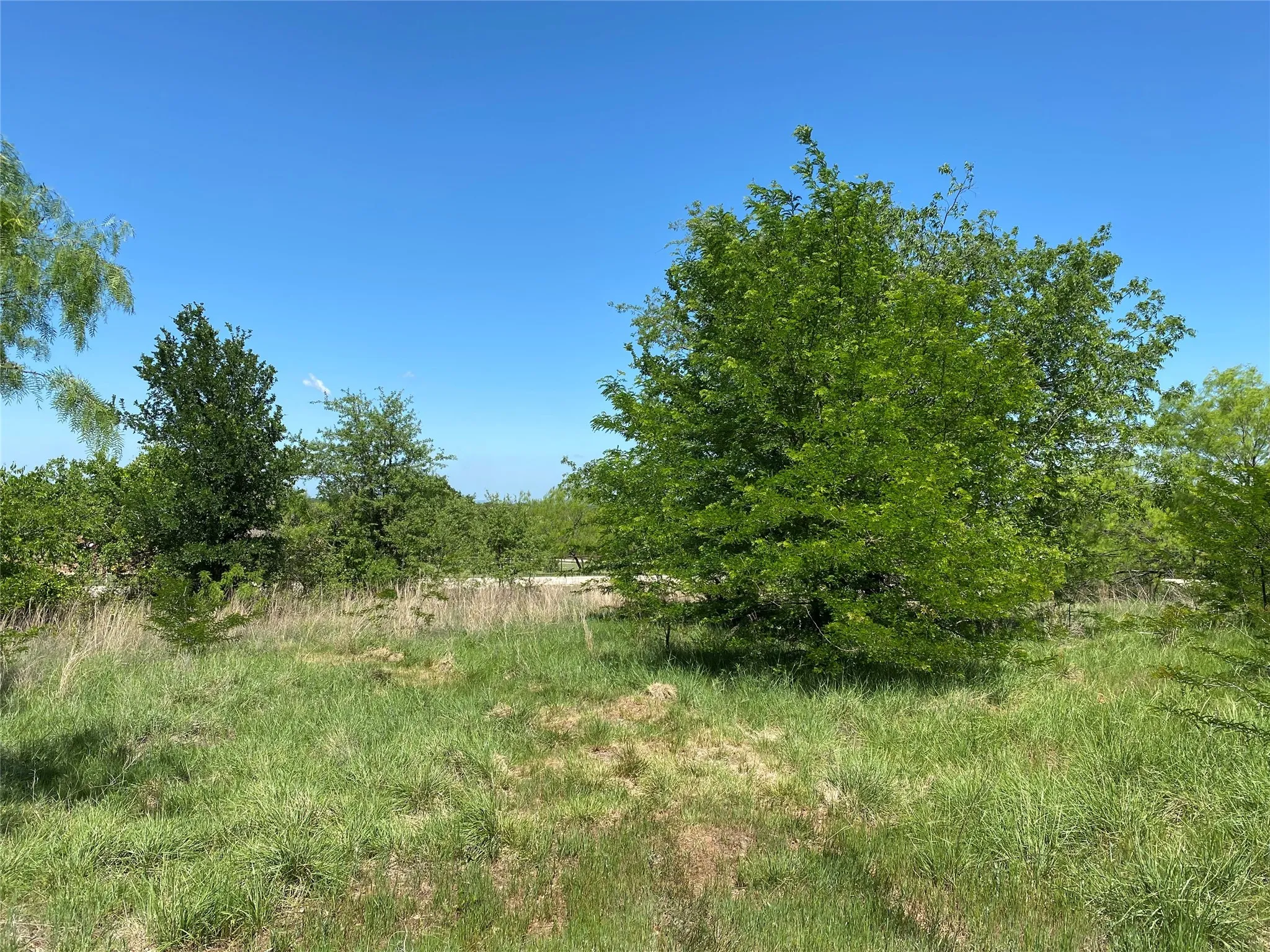 Unimproved Land For Sale in Wise County , TBD Miller Creek Lake Road, Paradise, Texas 76073, 0, 0, Garage spaces, 0 Sqft, built in 0, mls#20877045, Real Estate Agent in Paradise, Homes For Sale in Wise county, Homes For Sale in Paradise, Realtor in Paradise Texas, Real Estate Brokerage Independent Realty Texas, Luminita Cordes Realtor