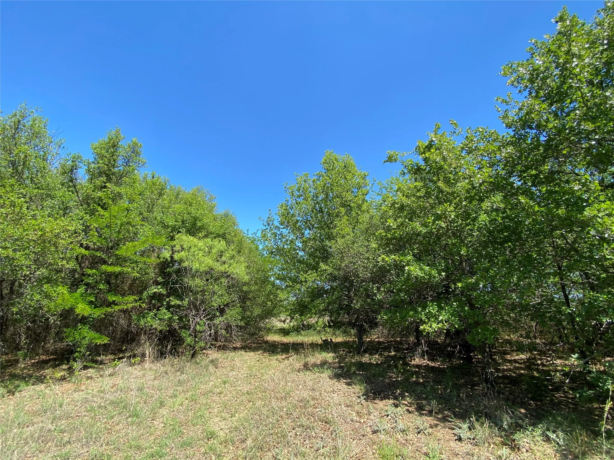 Unimproved Land For Sale in Wise County , TBD Miller Creek Lake Road, Paradise, Texas 76073, 0, 0, Garage spaces, 0 Sqft, built in 0, mls#20877045, Real Estate Agent in Paradise, Homes For Sale in Wise county, Homes For Sale in Paradise, Realtor in Paradise Texas, Real Estate Brokerage Independent Realty Texas, Luminita Cordes Realtor