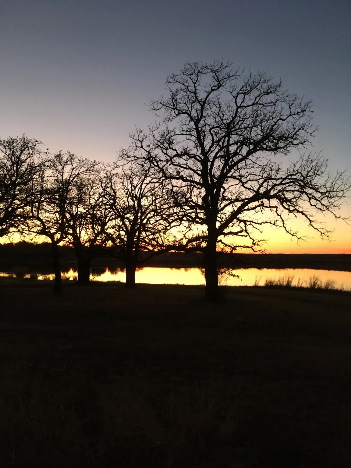 Unimproved Land For Sale in Wise County , TBD Miller Creek Lake Road, Paradise, Texas 76073, 0, 0, Garage spaces, 0 Sqft, built in 0, mls#20877045, Real Estate Agent in Paradise, Homes For Sale in Wise county, Homes For Sale in Paradise, Realtor in Paradise Texas, Real Estate Brokerage Independent Realty Texas, Luminita Cordes Realtor