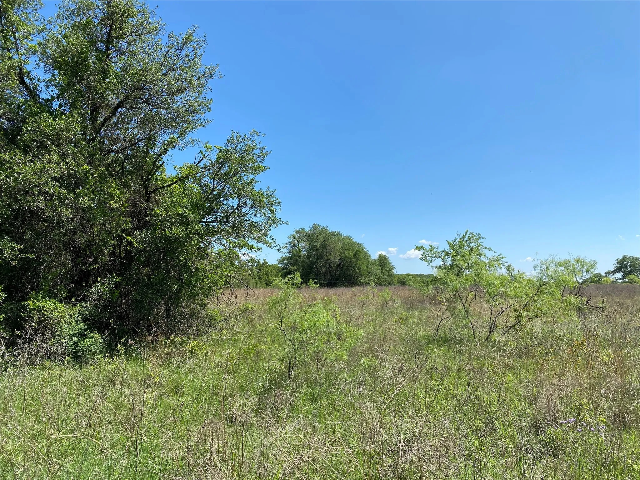 Unimproved Land For Sale in Wise County , TBD Miller Creek Lake Road, Paradise, Texas 76073, 0, 0, Garage spaces, 0 Sqft, built in 0, mls#20877045, Real Estate Agent in Paradise, Homes For Sale in Wise county, Homes For Sale in Paradise, Realtor in Paradise Texas, Real Estate Brokerage Independent Realty Texas, Luminita Cordes Realtor