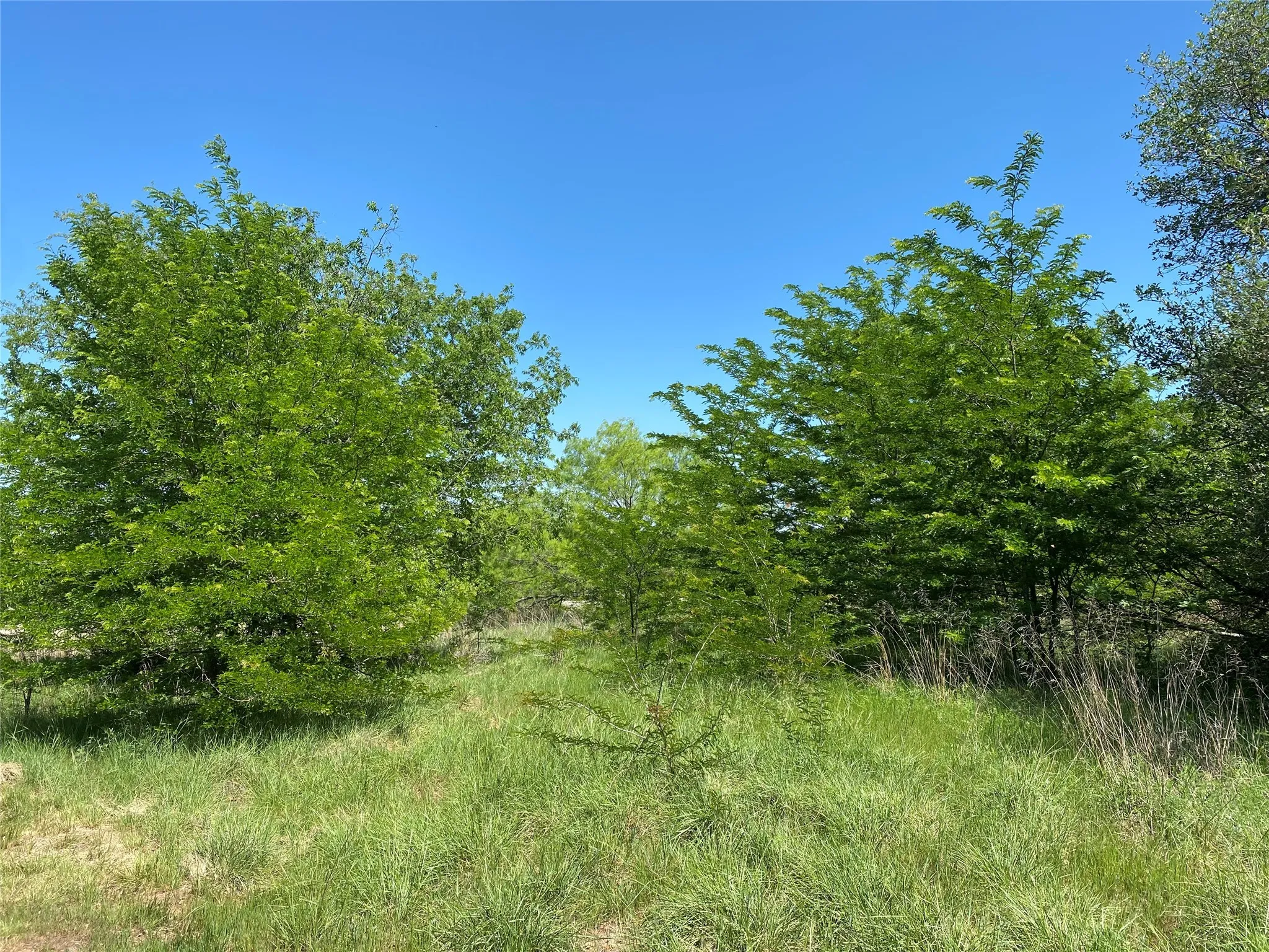 Unimproved Land For Sale in Wise County , TBD Miller Creek Lake Road, Paradise, Texas 76073, 0, 0, Garage spaces, 0 Sqft, built in 0, mls#20877045, Real Estate Agent in Paradise, Homes For Sale in Wise county, Homes For Sale in Paradise, Realtor in Paradise Texas, Real Estate Brokerage Independent Realty Texas, Luminita Cordes Realtor