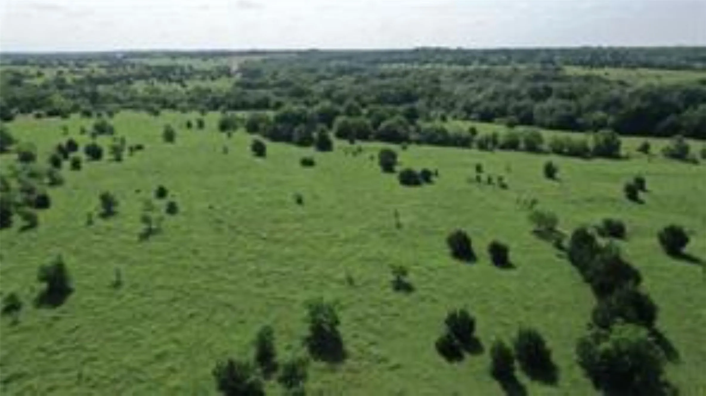 Unimproved Land For Sale in Collin County , TBD 22.494 County Road 703, Farmersville, Texas 75442, 0, 0, Garage spaces, 0 Sqft, built in 0, mls#20846938, Real Estate Agent in Farmersville, Homes For Sale in Collin county, Homes For Sale in Farmersville, Realtor in Farmersville Texas, Real Estate Brokerage Independent Realty Texas, Luminita Cordes Realtor