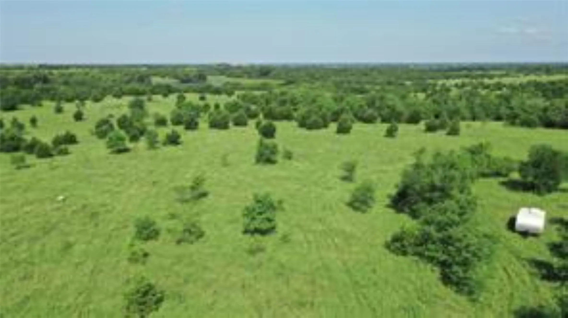 Unimproved Land For Sale in Collin County , TBD 22.494 County Road 703, Farmersville, Texas 75442, 0, 0, Garage spaces, 0 Sqft, built in 0, mls#20846938, Real Estate Agent in Farmersville, Homes For Sale in Collin county, Homes For Sale in Farmersville, Realtor in Farmersville Texas, Real Estate Brokerage Independent Realty Texas, Luminita Cordes Realtor