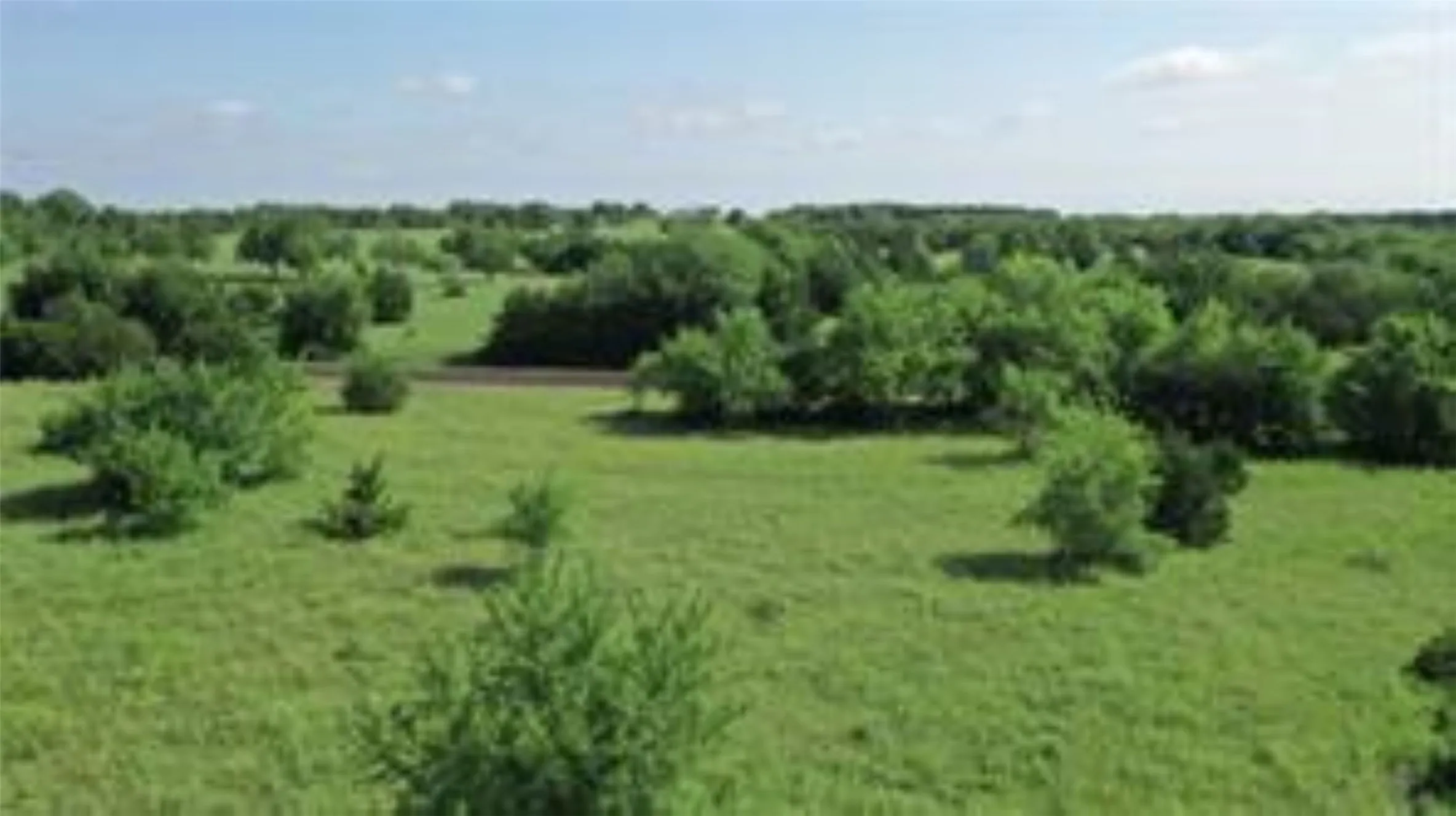 Unimproved Land For Sale in Collin County , TBD 22.494 County Road 703, Farmersville, Texas 75442, 0, 0, Garage spaces, 0 Sqft, built in 0, mls#20846938, Real Estate Agent in Farmersville, Homes For Sale in Collin county, Homes For Sale in Farmersville, Realtor in Farmersville Texas, Real Estate Brokerage Independent Realty Texas, Luminita Cordes Realtor