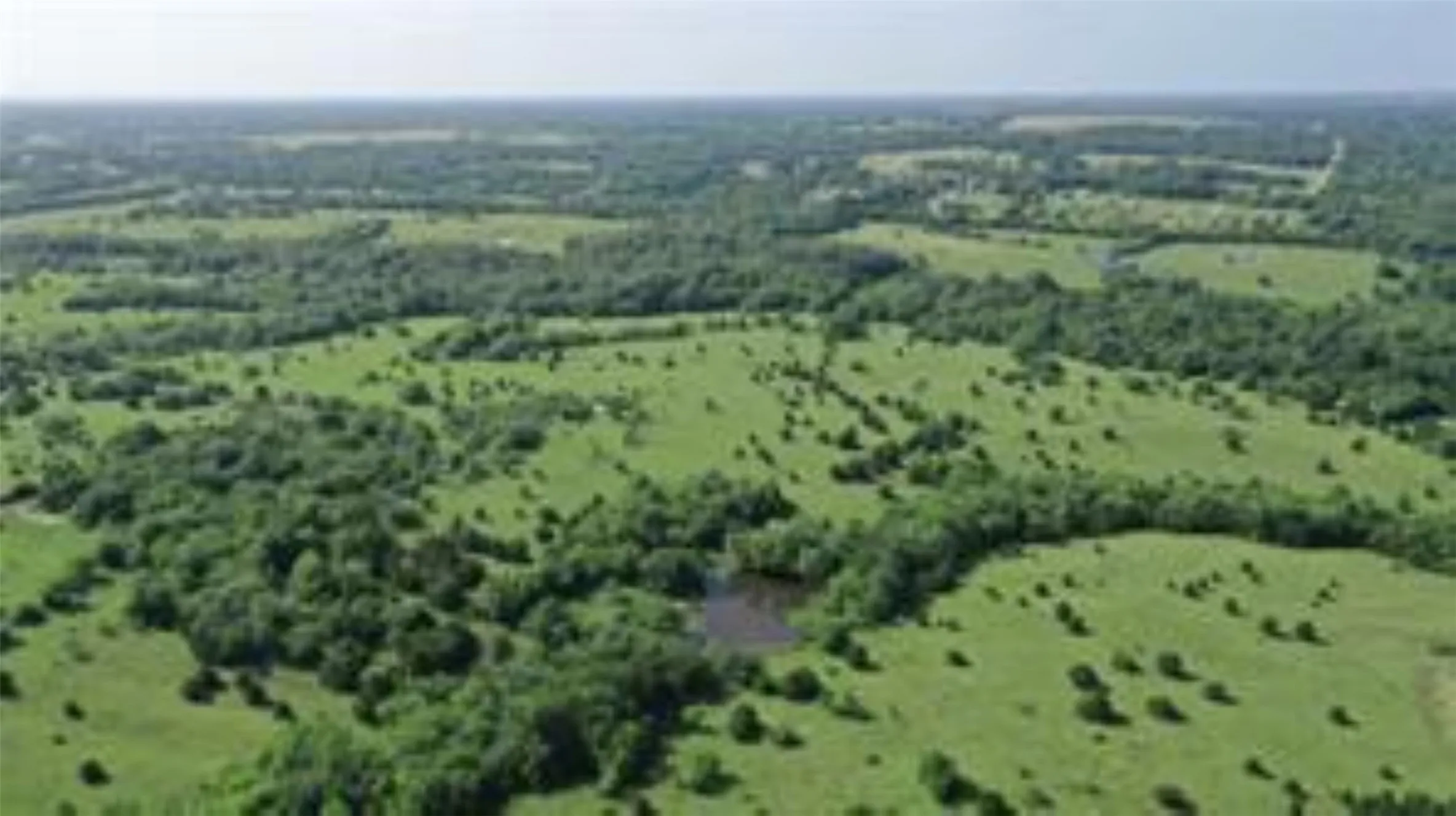 Unimproved Land For Sale in Collin County , TBD 22.494 County Road 703, Farmersville, Texas 75442, 0, 0, Garage spaces, 0 Sqft, built in 0, mls#20846938, Real Estate Agent in Farmersville, Homes For Sale in Collin county, Homes For Sale in Farmersville, Realtor in Farmersville Texas, Real Estate Brokerage Independent Realty Texas, Luminita Cordes Realtor
