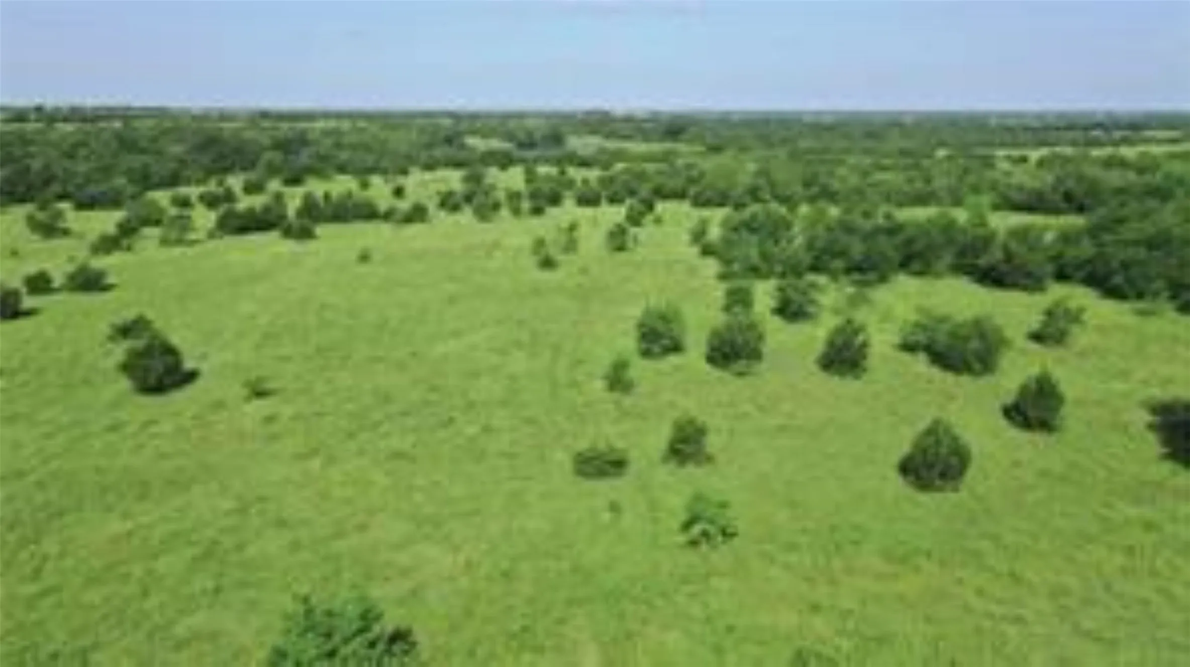 Unimproved Land For Sale in Collin County , TBD 22.494 County Road 703, Farmersville, Texas 75442, 0, 0, Garage spaces, 0 Sqft, built in 0, mls#20846938, Real Estate Agent in Farmersville, Homes For Sale in Collin county, Homes For Sale in Farmersville, Realtor in Farmersville Texas, Real Estate Brokerage Independent Realty Texas, Luminita Cordes Realtor