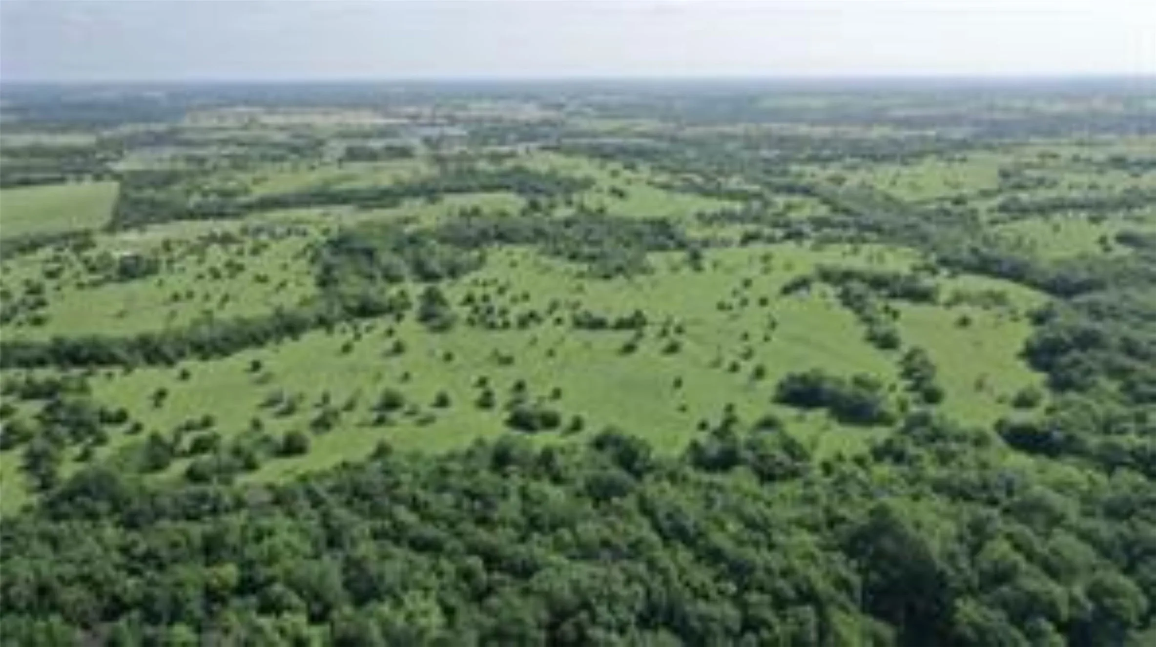 Unimproved Land For Sale in Collin County , TBD 22.494 County Road 703, Farmersville, Texas 75442, 0, 0, Garage spaces, 0 Sqft, built in 0, mls#20846938, Real Estate Agent in Farmersville, Homes For Sale in Collin county, Homes For Sale in Farmersville, Realtor in Farmersville Texas, Real Estate Brokerage Independent Realty Texas, Luminita Cordes Realtor