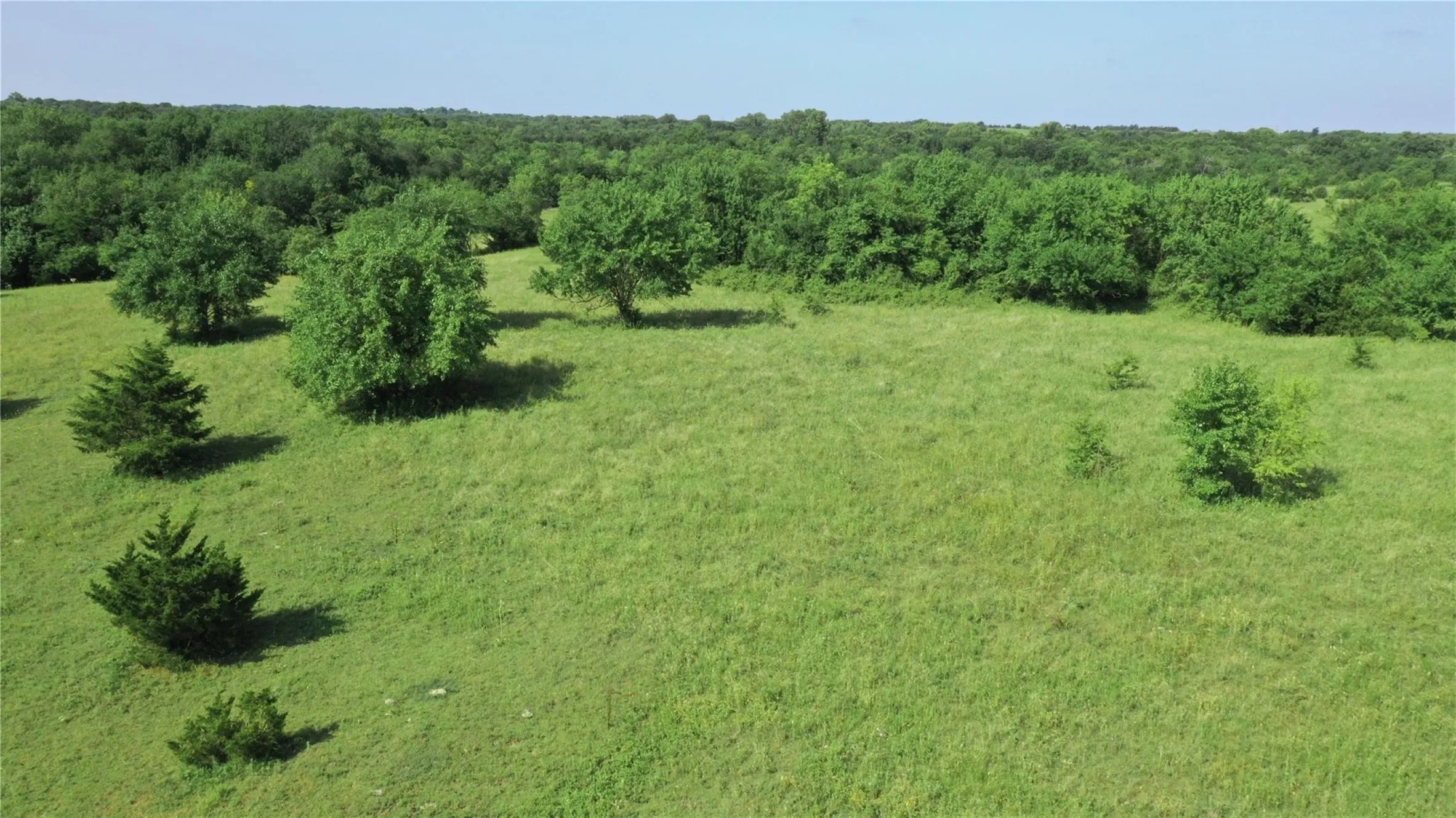 Unimproved Land For Sale in Collin County , TBD 22.494 County Road 703, Farmersville, Texas 75442, 0, 0, Garage spaces, 0 Sqft, built in 0, mls#20846938, Real Estate Agent in Farmersville, Homes For Sale in Collin county, Homes For Sale in Farmersville, Realtor in Farmersville Texas, Real Estate Brokerage Independent Realty Texas, Luminita Cordes Realtor