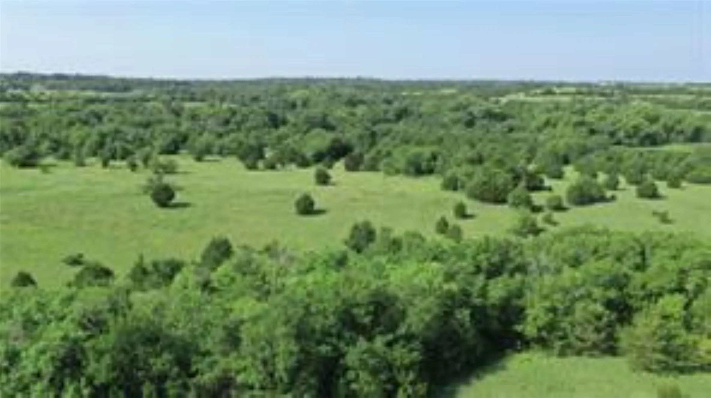 Unimproved Land For Sale in Collin County , TBD 22.494 County Road 703, Farmersville, Texas 75442, 0, 0, Garage spaces, 0 Sqft, built in 0, mls#20846938, Real Estate Agent in Farmersville, Homes For Sale in Collin county, Homes For Sale in Farmersville, Realtor in Farmersville Texas, Real Estate Brokerage Independent Realty Texas, Luminita Cordes Realtor