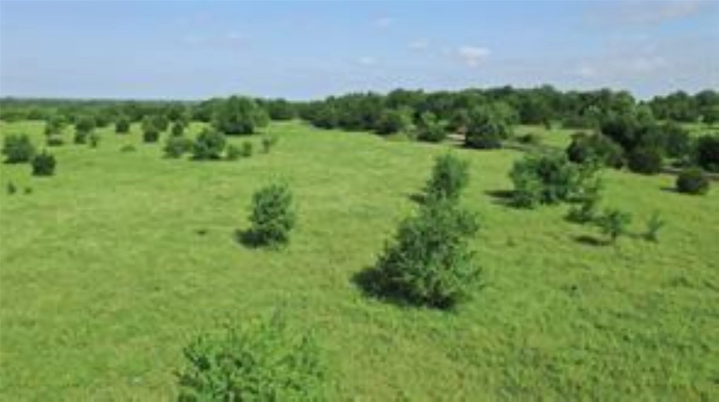 Unimproved Land For Sale in Collin County , TBD 22.494 County Road 703, Farmersville, Texas 75442, 0, 0, Garage spaces, 0 Sqft, built in 0, mls#20846938, Real Estate Agent in Farmersville, Homes For Sale in Collin county, Homes For Sale in Farmersville, Realtor in Farmersville Texas, Real Estate Brokerage Independent Realty Texas, Luminita Cordes Realtor