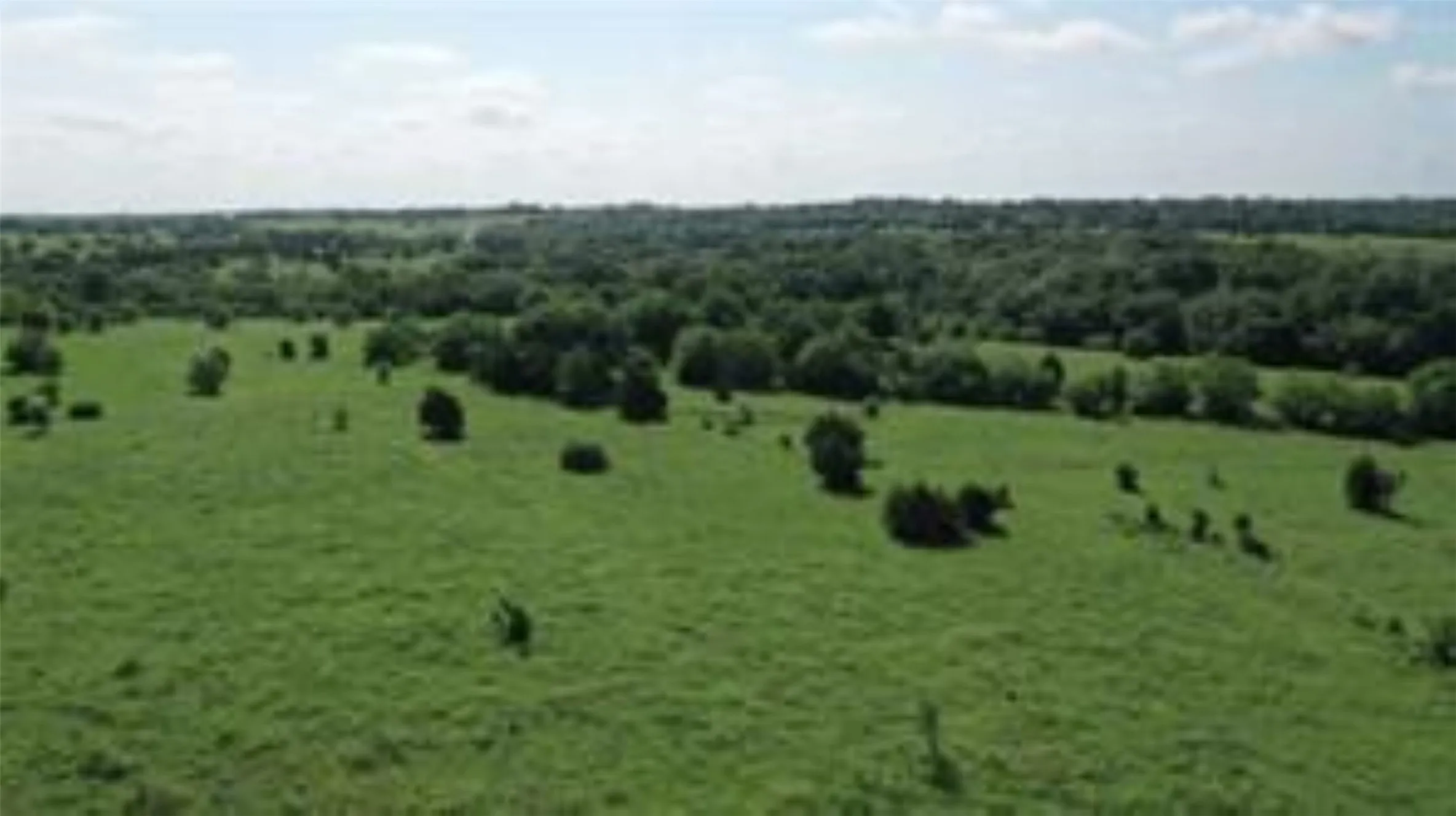 Unimproved Land For Sale in Collin County , TBD 22.494 County Road 703, Farmersville, Texas 75442, 0, 0, Garage spaces, 0 Sqft, built in 0, mls#20846938, Real Estate Agent in Farmersville, Homes For Sale in Collin county, Homes For Sale in Farmersville, Realtor in Farmersville Texas, Real Estate Brokerage Independent Realty Texas, Luminita Cordes Realtor