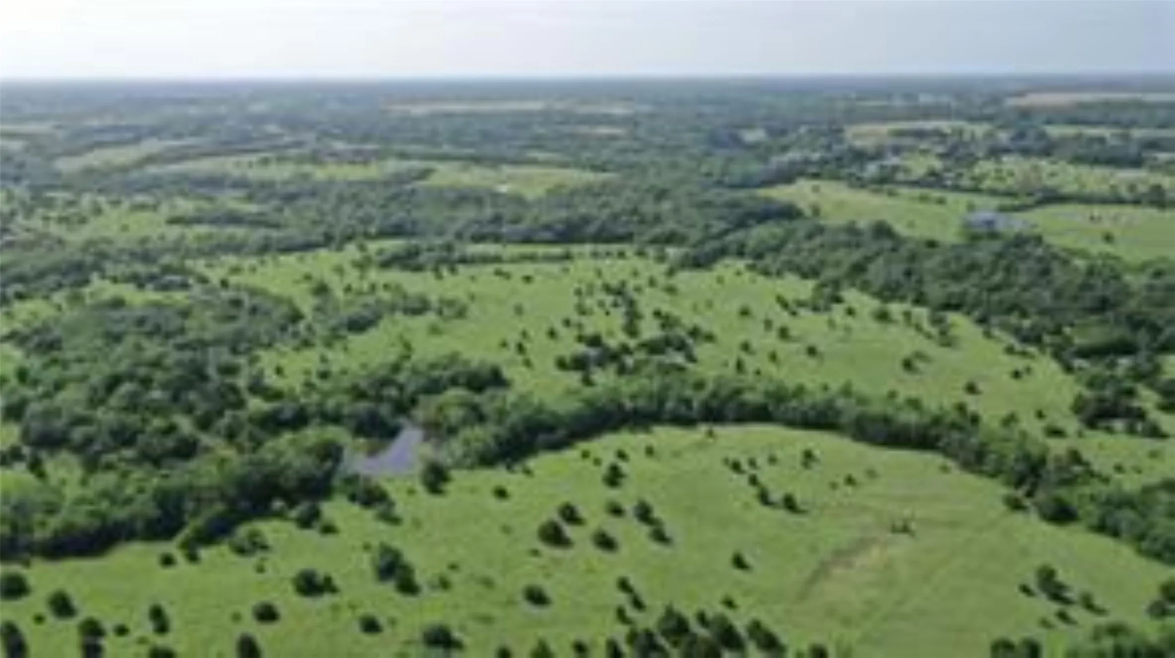 Unimproved Land For Sale in Collin County , TBD 22.494 County Road 703, Farmersville, Texas 75442, 0, 0, Garage spaces, 0 Sqft, built in 0, mls#20846938, Real Estate Agent in Farmersville, Homes For Sale in Collin county, Homes For Sale in Farmersville, Realtor in Farmersville Texas, Real Estate Brokerage Independent Realty Texas, Luminita Cordes Realtor