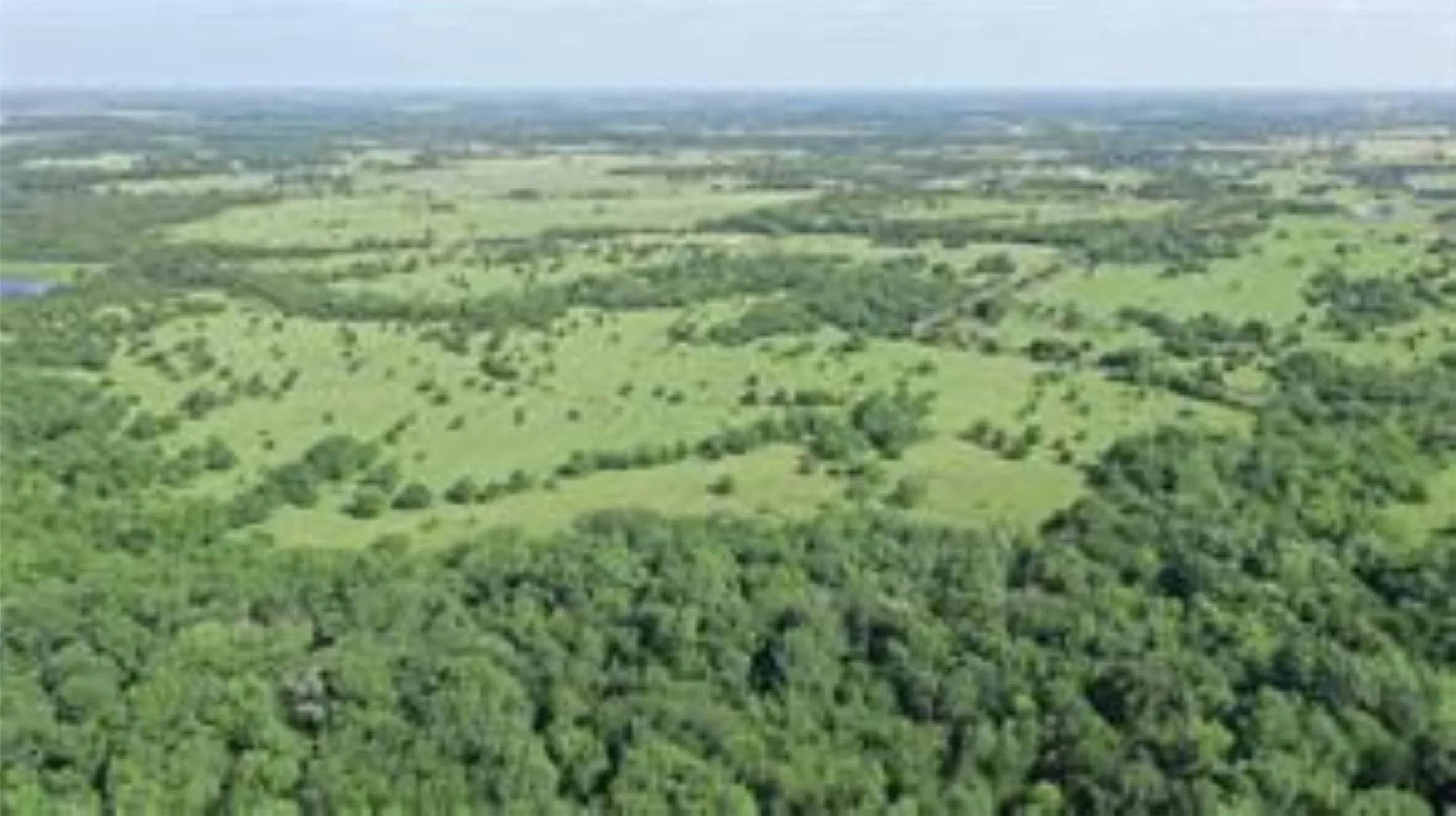 Unimproved Land For Sale in Collin County , TBD 22.494 County Road 703, Farmersville, Texas 75442, 0, 0, Garage spaces, 0 Sqft, built in 0, mls#20846938, Real Estate Agent in Farmersville, Homes For Sale in Collin county, Homes For Sale in Farmersville, Realtor in Farmersville Texas, Real Estate Brokerage Independent Realty Texas, Luminita Cordes Realtor