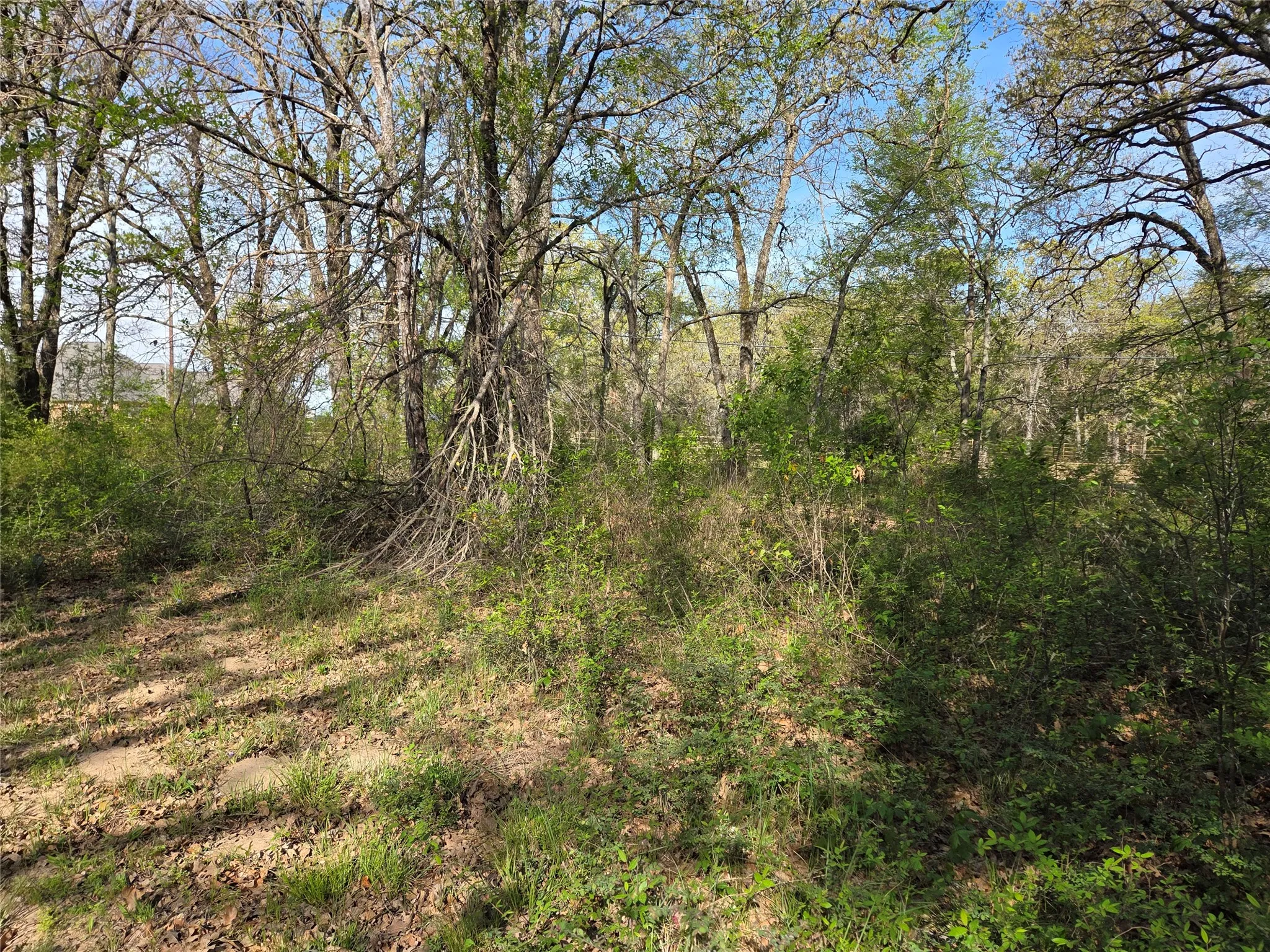 Unimproved Land For Sale in Navarro County , Lot 97 Tonkawa Trail, Corsicana, Texas 75109, 0, 0, Garage spaces, 0 Sqft, built in 0, mls#20882439, Real Estate Agent in Corsicana, Homes For Sale in Navarro county, Homes For Sale in Corsicana, Realtor in Corsicana Texas, Real Estate Brokerage Independent Realty Texas, Luminita Cordes Realtor