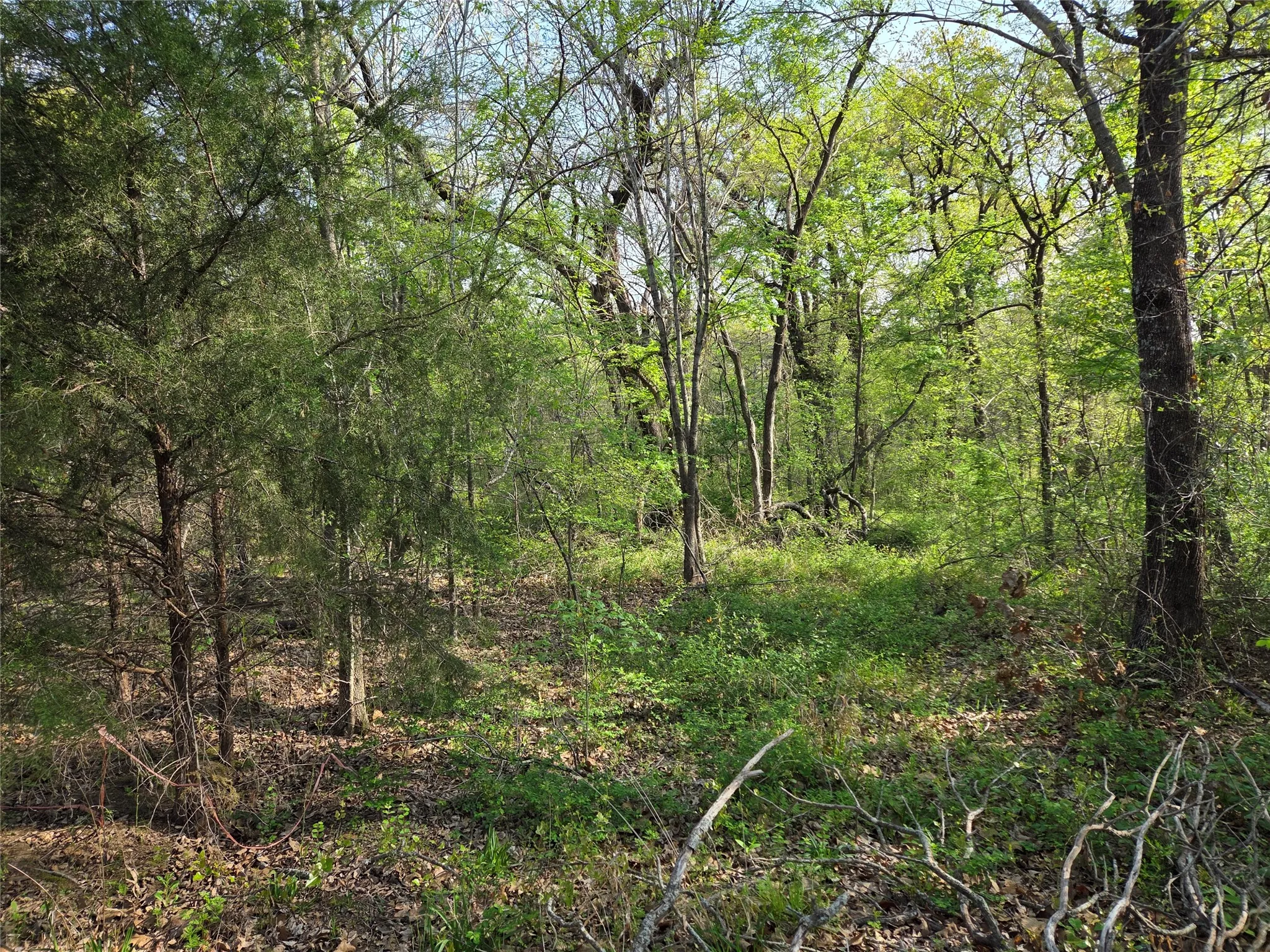 Unimproved Land For Sale in Navarro County , Lot 97 Tonkawa Trail, Corsicana, Texas 75109, 0, 0, Garage spaces, 0 Sqft, built in 0, mls#20882439, Real Estate Agent in Corsicana, Homes For Sale in Navarro county, Homes For Sale in Corsicana, Realtor in Corsicana Texas, Real Estate Brokerage Independent Realty Texas, Luminita Cordes Realtor