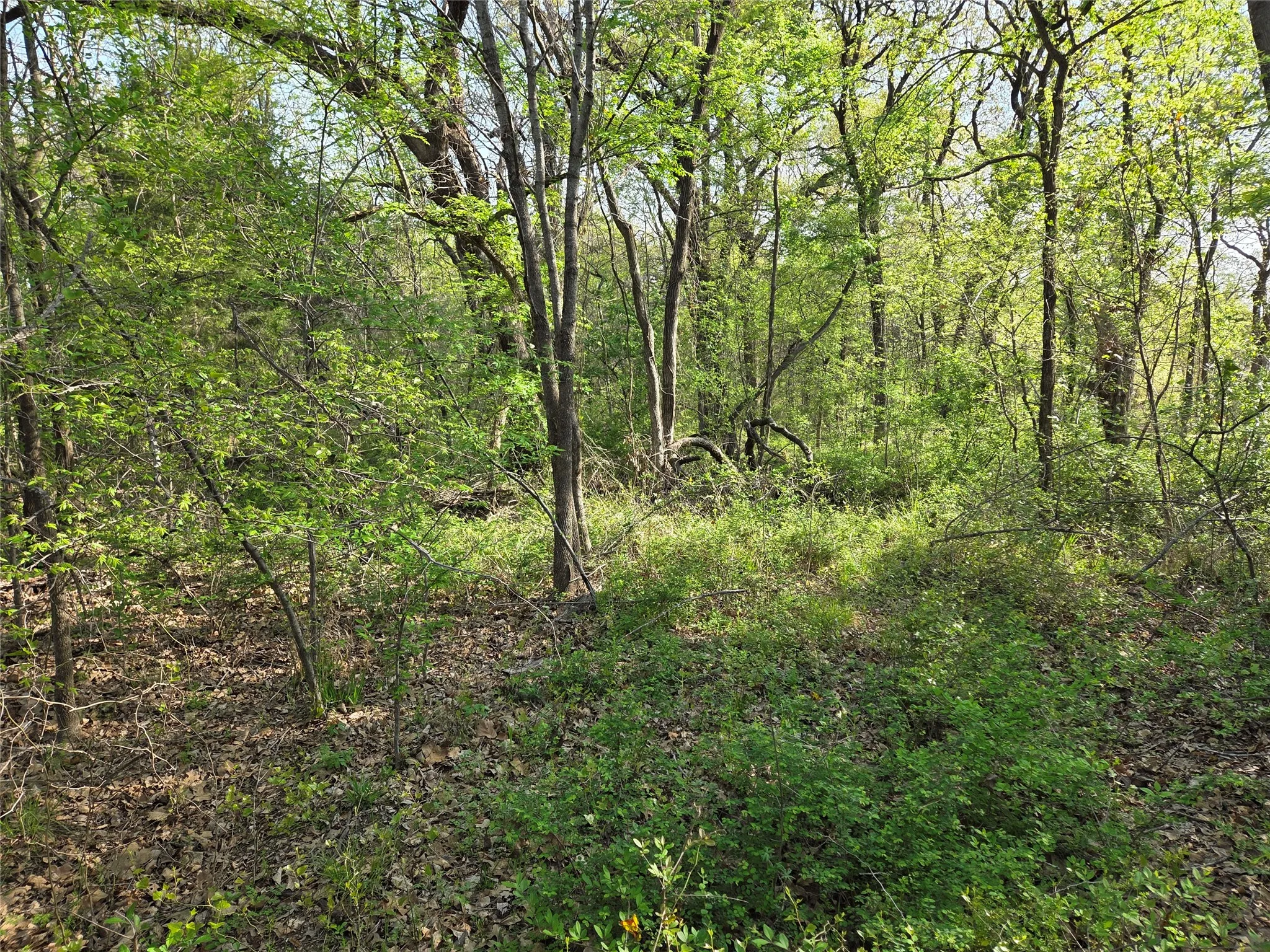 Unimproved Land For Sale in Navarro County , Lot 97 Tonkawa Trail, Corsicana, Texas 75109, 0, 0, Garage spaces, 0 Sqft, built in 0, mls#20882439, Real Estate Agent in Corsicana, Homes For Sale in Navarro county, Homes For Sale in Corsicana, Realtor in Corsicana Texas, Real Estate Brokerage Independent Realty Texas, Luminita Cordes Realtor