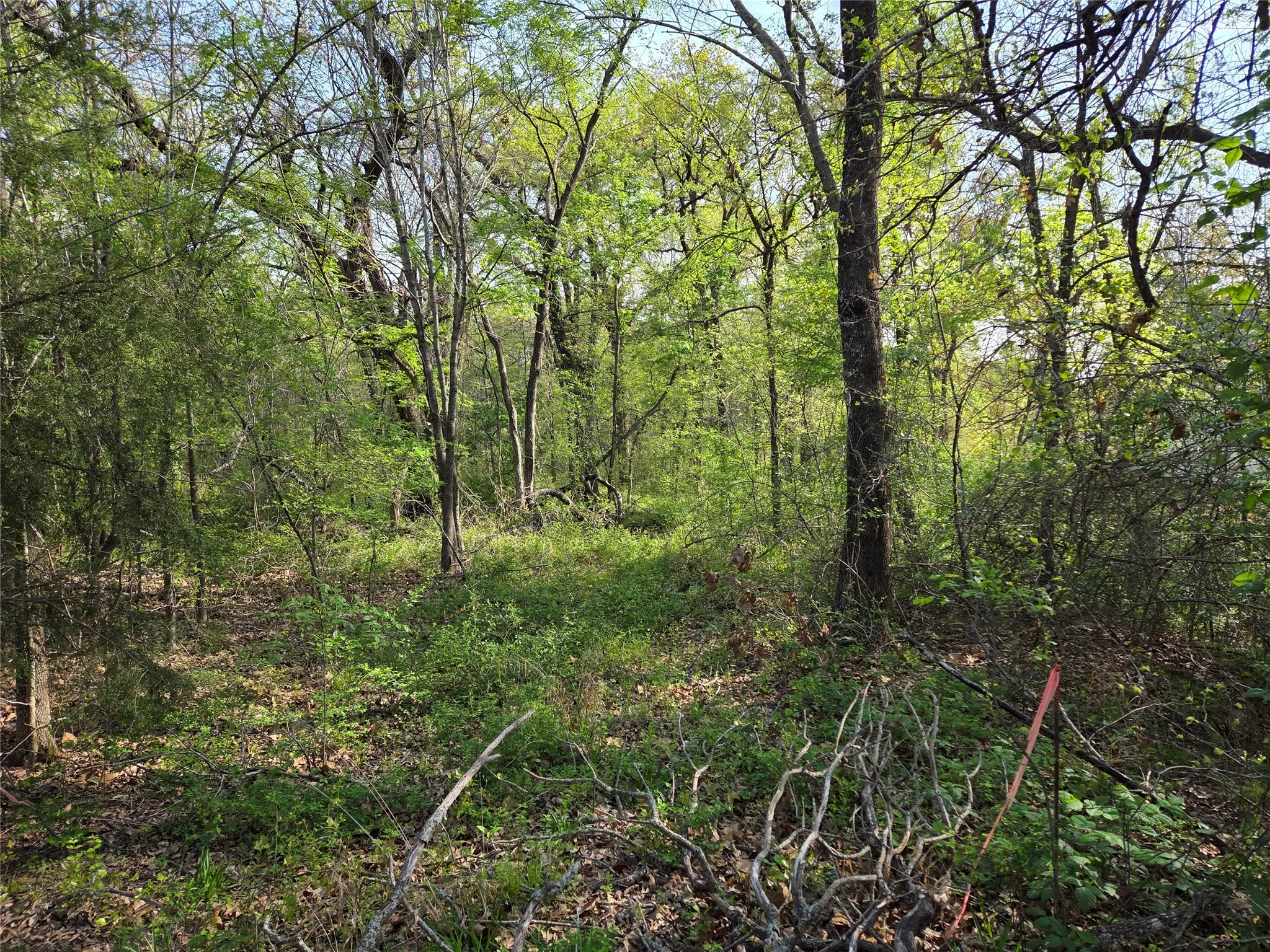 Unimproved Land For Sale in Navarro County , Lot 97 Tonkawa Trail, Corsicana, Texas 75109, 0, 0, Garage spaces, 0 Sqft, built in 0, mls#20882439, Real Estate Agent in Corsicana, Homes For Sale in Navarro county, Homes For Sale in Corsicana, Realtor in Corsicana Texas, Real Estate Brokerage Independent Realty Texas, Luminita Cordes Realtor