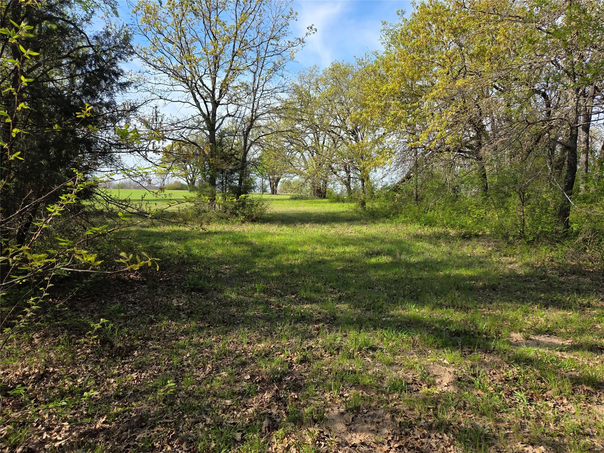 Unimproved Land For Sale in Navarro County , Lot 97 Tonkawa Trail, Corsicana, Texas 75109, 0, 0, Garage spaces, 0 Sqft, built in 0, mls#20882439, Real Estate Agent in Corsicana, Homes For Sale in Navarro county, Homes For Sale in Corsicana, Realtor in Corsicana Texas, Real Estate Brokerage Independent Realty Texas, Luminita Cordes Realtor