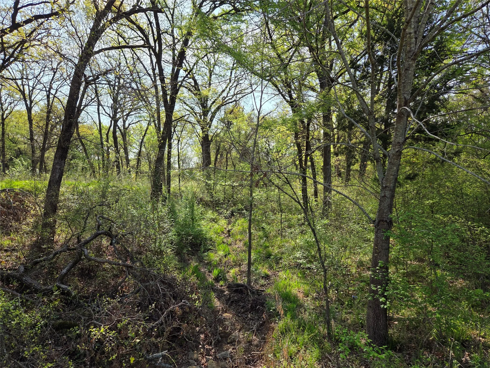 Unimproved Land For Sale in Navarro County , Lot 97 Tonkawa Trail, Corsicana, Texas 75109, 0, 0, Garage spaces, 0 Sqft, built in 0, mls#20882439, Real Estate Agent in Corsicana, Homes For Sale in Navarro county, Homes For Sale in Corsicana, Realtor in Corsicana Texas, Real Estate Brokerage Independent Realty Texas, Luminita Cordes Realtor