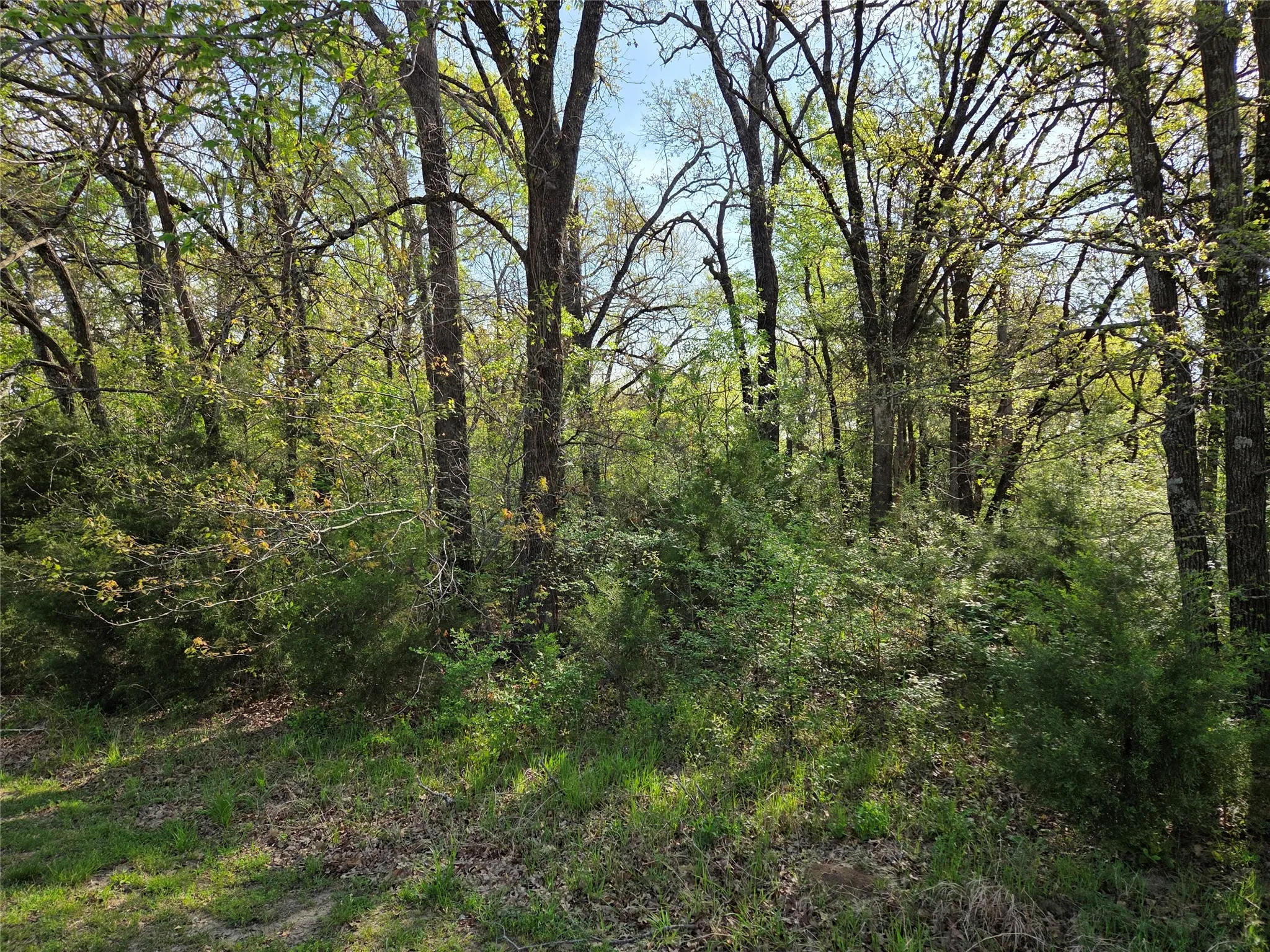 Unimproved Land For Sale in Navarro County , Lot 97 Tonkawa Trail, Corsicana, Texas 75109, 0, 0, Garage spaces, 0 Sqft, built in 0, mls#20882439, Real Estate Agent in Corsicana, Homes For Sale in Navarro county, Homes For Sale in Corsicana, Realtor in Corsicana Texas, Real Estate Brokerage Independent Realty Texas, Luminita Cordes Realtor