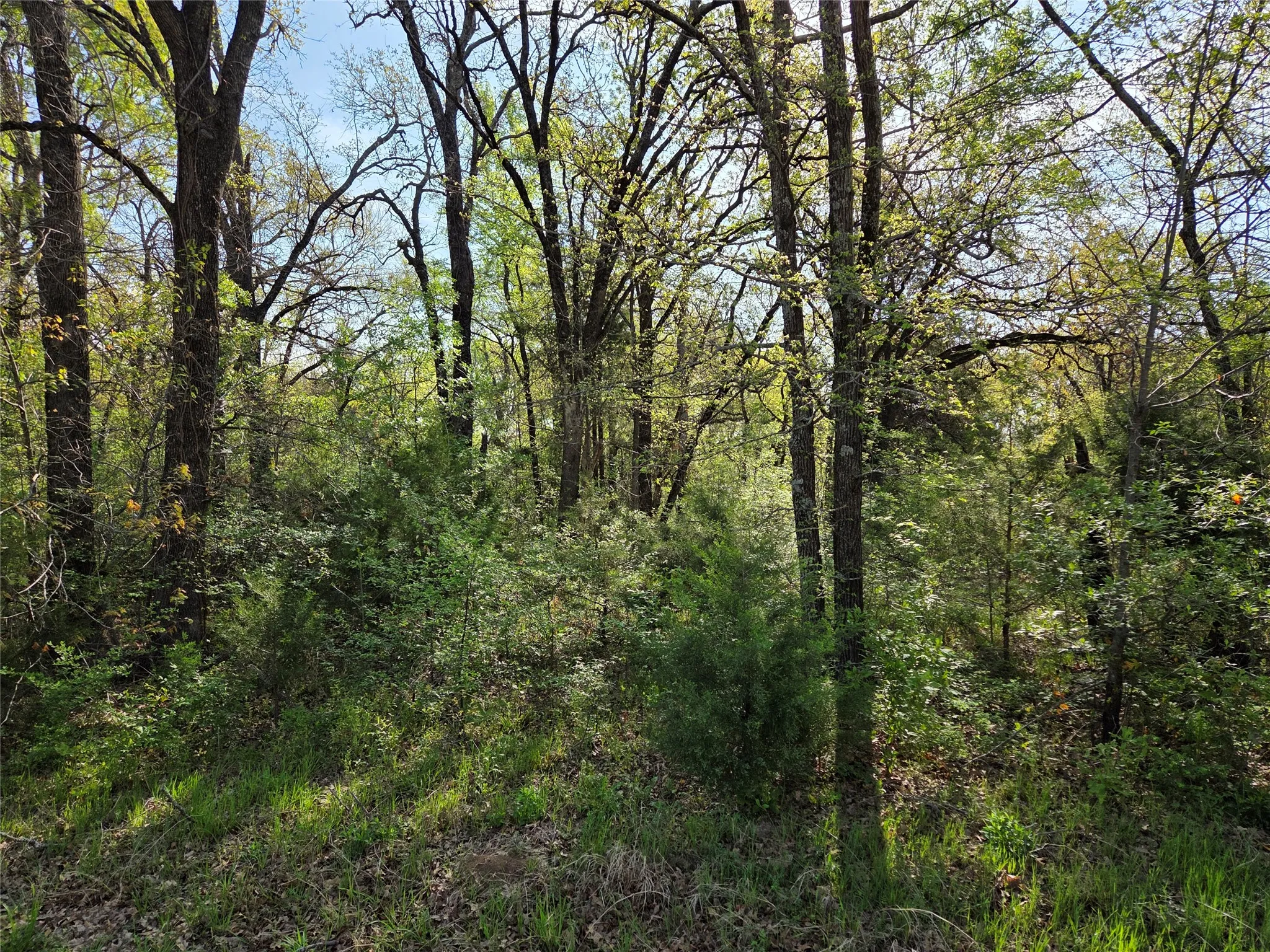 Unimproved Land For Sale in Navarro County , Lot 97 Tonkawa Trail, Corsicana, Texas 75109, 0, 0, Garage spaces, 0 Sqft, built in 0, mls#20882439, Real Estate Agent in Corsicana, Homes For Sale in Navarro county, Homes For Sale in Corsicana, Realtor in Corsicana Texas, Real Estate Brokerage Independent Realty Texas, Luminita Cordes Realtor