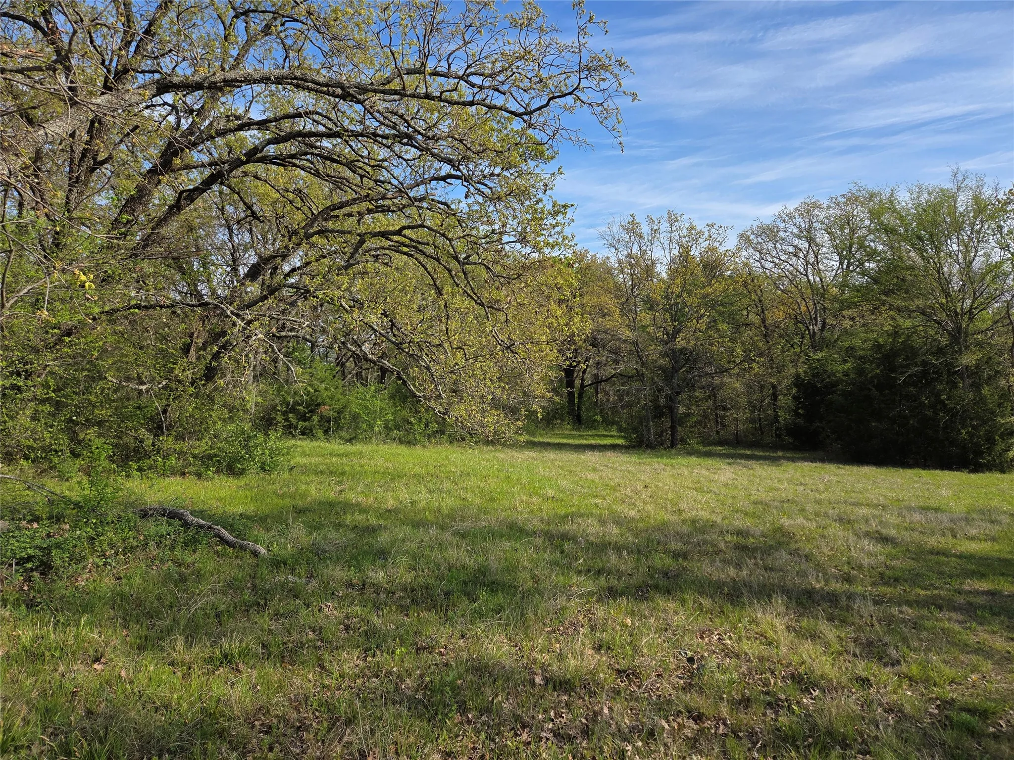 Unimproved Land For Sale in Navarro County , Lot 97 Tonkawa Trail, Corsicana, Texas 75109, 0, 0, Garage spaces, 0 Sqft, built in 0, mls#20882439, Real Estate Agent in Corsicana, Homes For Sale in Navarro county, Homes For Sale in Corsicana, Realtor in Corsicana Texas, Real Estate Brokerage Independent Realty Texas, Luminita Cordes Realtor