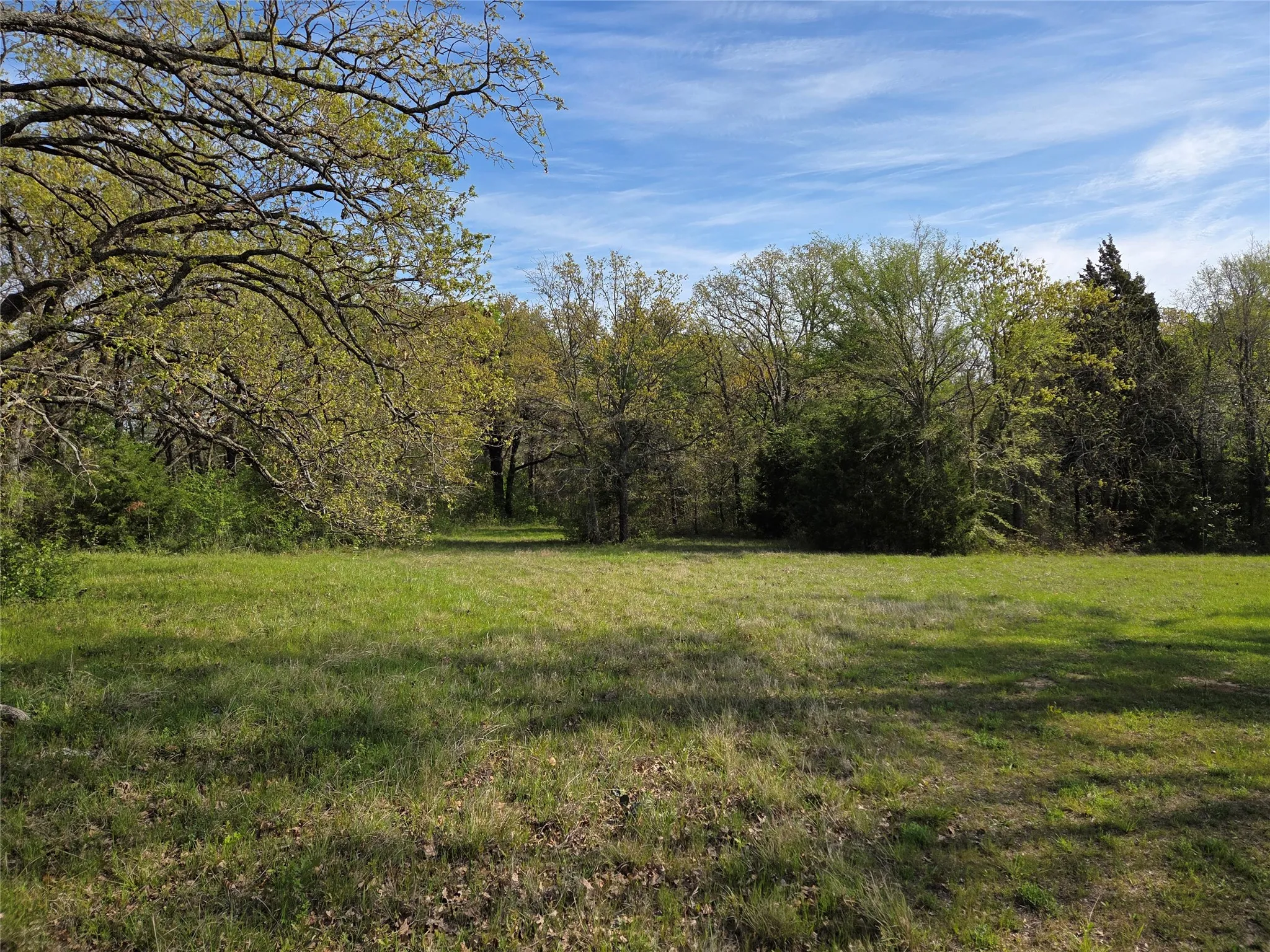 Unimproved Land For Sale in Navarro County , Lot 97 Tonkawa Trail, Corsicana, Texas 75109, 0, 0, Garage spaces, 0 Sqft, built in 0, mls#20882439, Real Estate Agent in Corsicana, Homes For Sale in Navarro county, Homes For Sale in Corsicana, Realtor in Corsicana Texas, Real Estate Brokerage Independent Realty Texas, Luminita Cordes Realtor