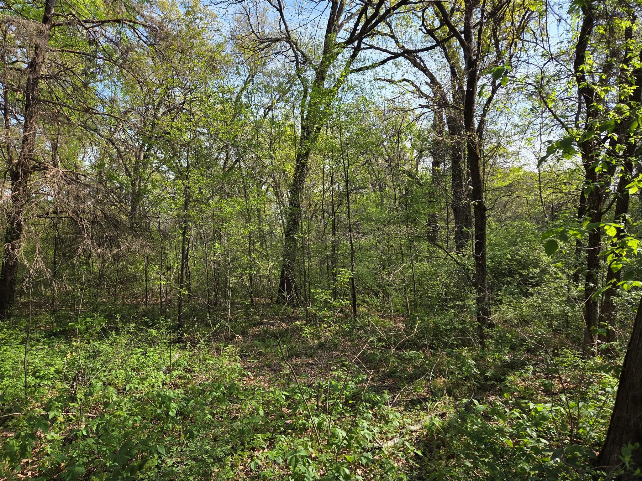 Unimproved Land For Sale in Navarro County , Lot 97 Tonkawa Trail, Corsicana, Texas 75109, 0, 0, Garage spaces, 0 Sqft, built in 0, mls#20882439, Real Estate Agent in Corsicana, Homes For Sale in Navarro county, Homes For Sale in Corsicana, Realtor in Corsicana Texas, Real Estate Brokerage Independent Realty Texas, Luminita Cordes Realtor