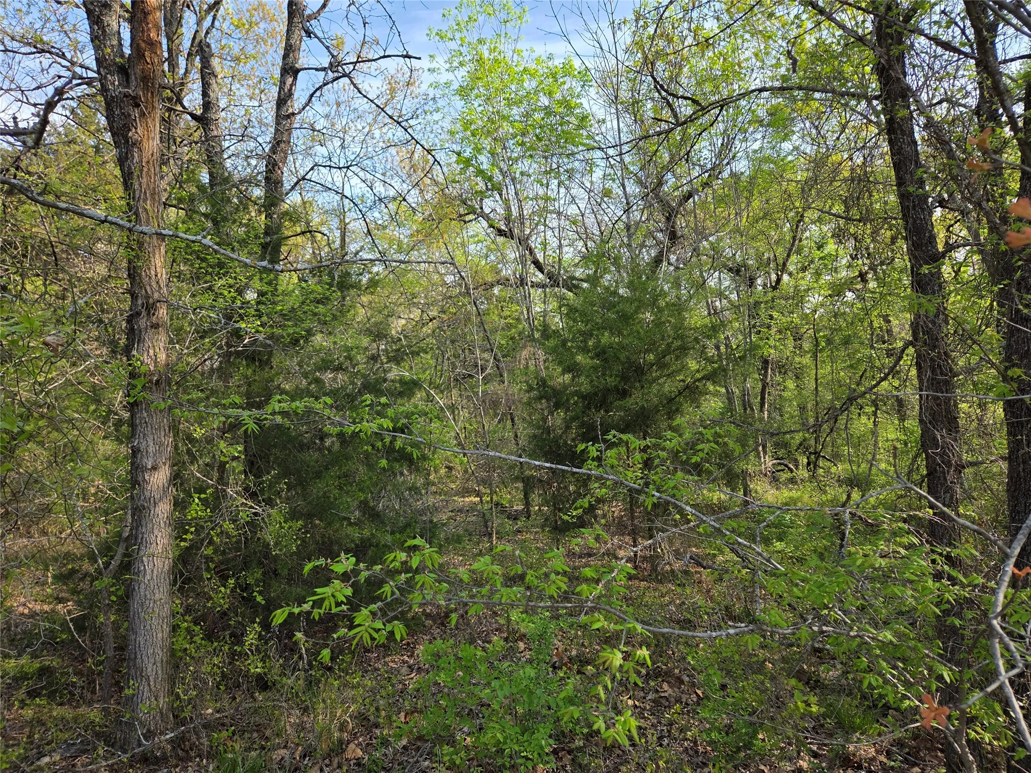 Unimproved Land For Sale in Navarro County , Lot 97 Tonkawa Trail, Corsicana, Texas 75109, 0, 0, Garage spaces, 0 Sqft, built in 0, mls#20882439, Real Estate Agent in Corsicana, Homes For Sale in Navarro county, Homes For Sale in Corsicana, Realtor in Corsicana Texas, Real Estate Brokerage Independent Realty Texas, Luminita Cordes Realtor