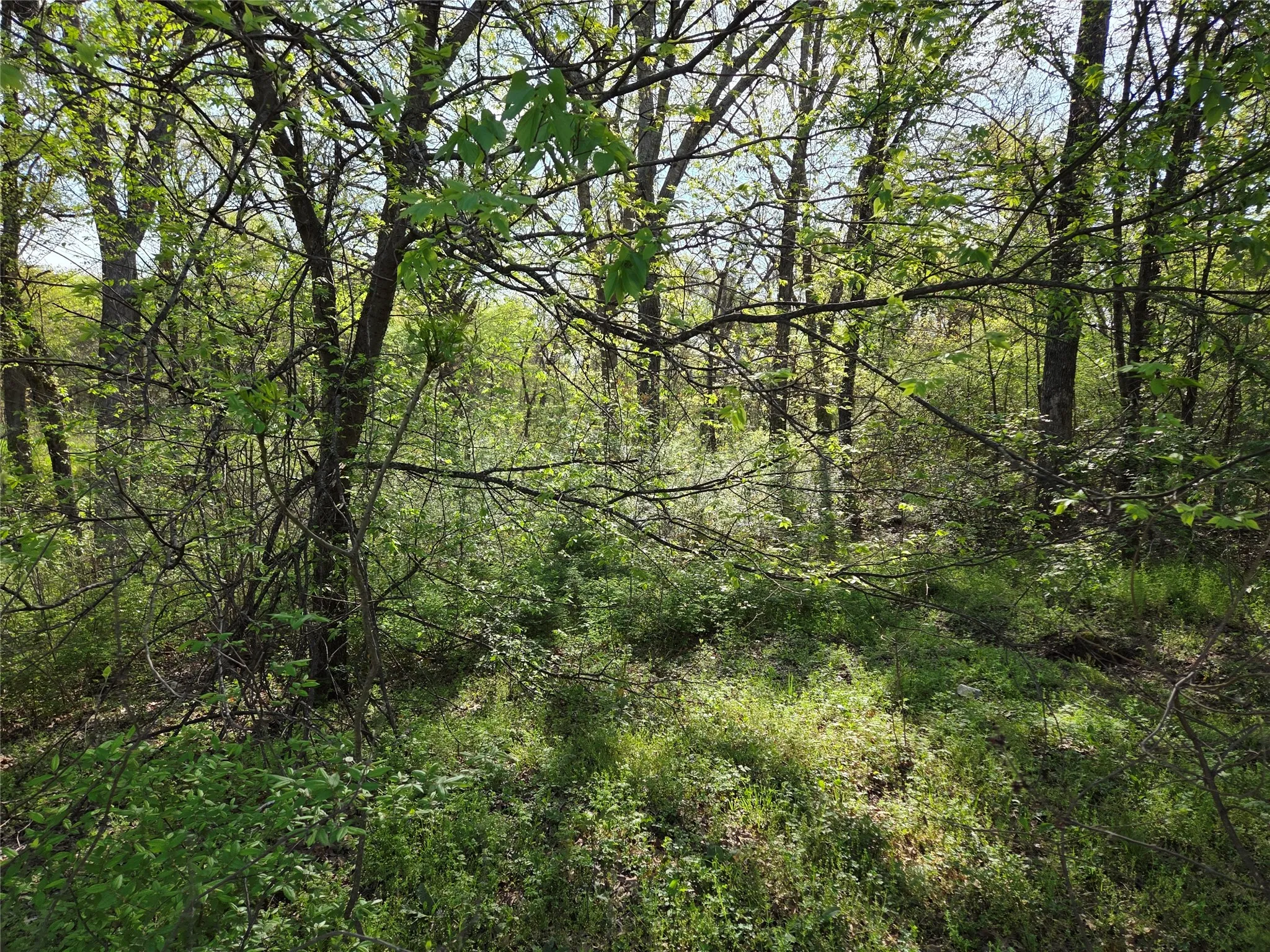 Unimproved Land For Sale in Navarro County , Lot 97 Tonkawa Trail, Corsicana, Texas 75109, 0, 0, Garage spaces, 0 Sqft, built in 0, mls#20882439, Real Estate Agent in Corsicana, Homes For Sale in Navarro county, Homes For Sale in Corsicana, Realtor in Corsicana Texas, Real Estate Brokerage Independent Realty Texas, Luminita Cordes Realtor