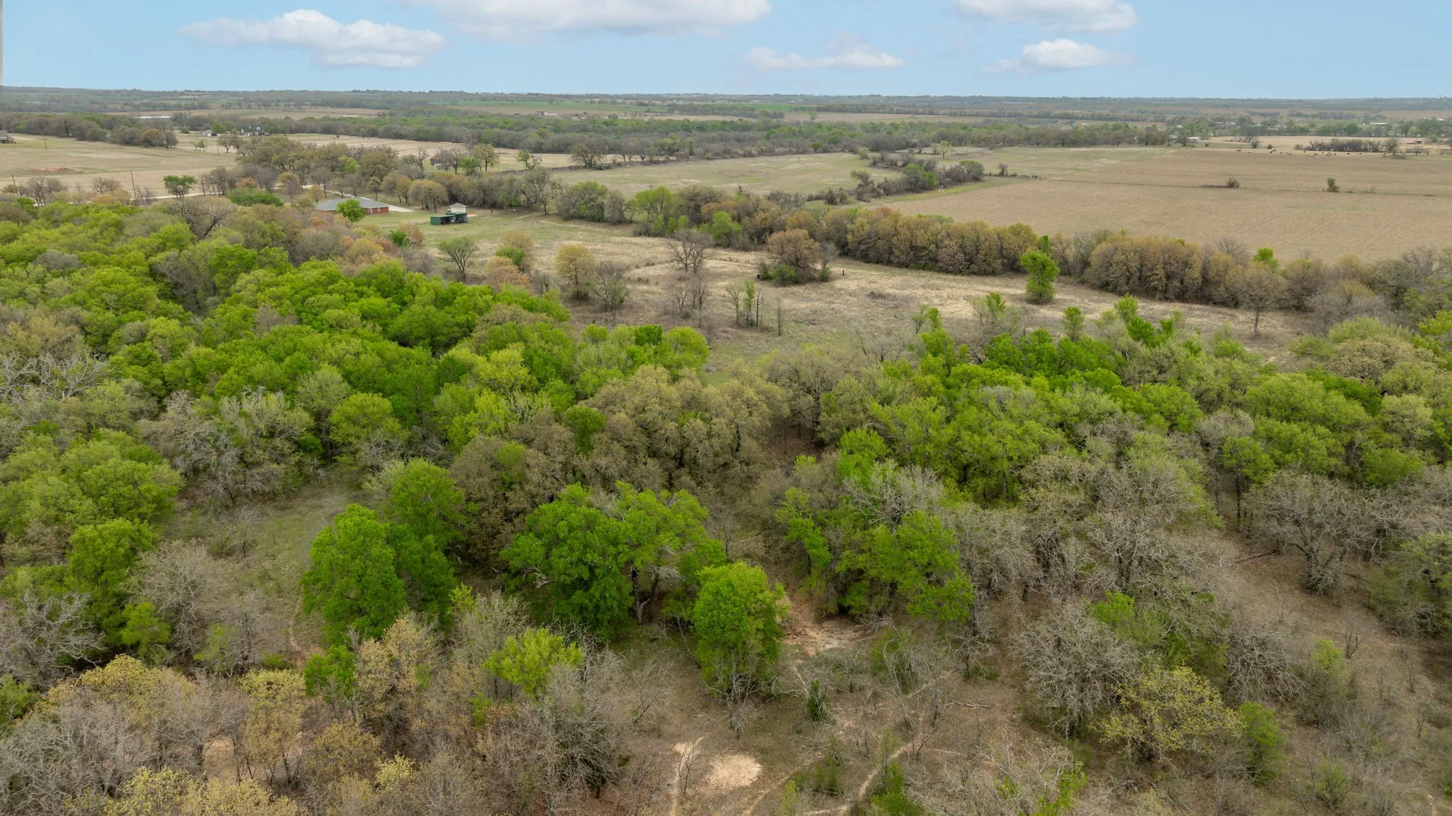 Unimproved Land For Sale in Erath County , TBD County Road 242 40, Dublin, Texas 76446, 0, 0, Garage spaces, 0 Sqft, built in 0, mls#20885490, Real Estate Agent in Dublin, Homes For Sale in Erath county, Homes For Sale in Dublin, Realtor in Dublin Texas, Real Estate Brokerage Independent Realty Texas, Luminita Cordes Realtor