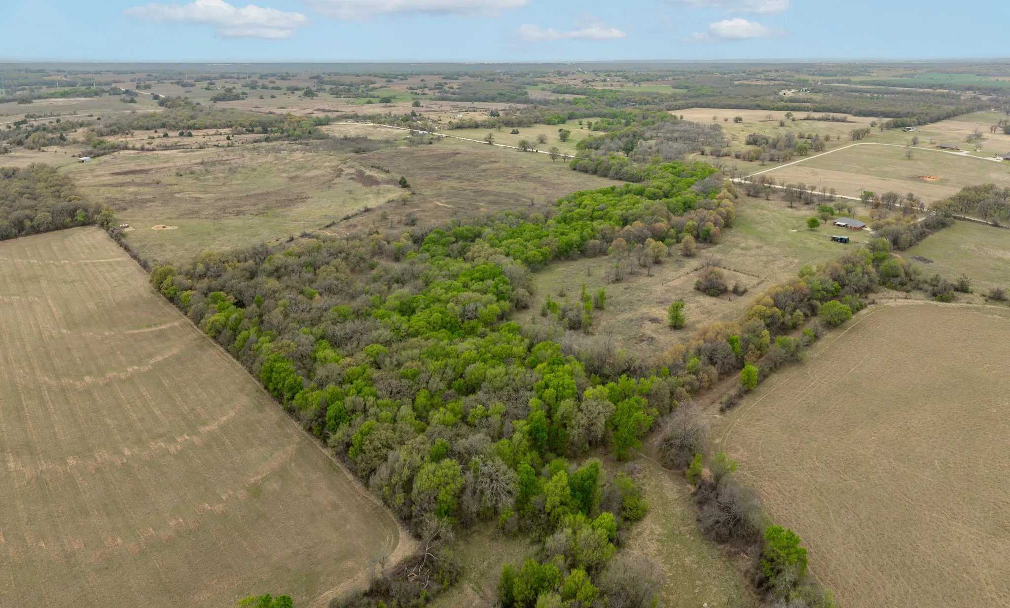 Unimproved Land For Sale in Erath County , TBD County Road 242 40, Dublin, Texas 76446, 0, 0, Garage spaces, 0 Sqft, built in 0, mls#20885490, Real Estate Agent in Dublin, Homes For Sale in Erath county, Homes For Sale in Dublin, Realtor in Dublin Texas, Real Estate Brokerage Independent Realty Texas, Luminita Cordes Realtor