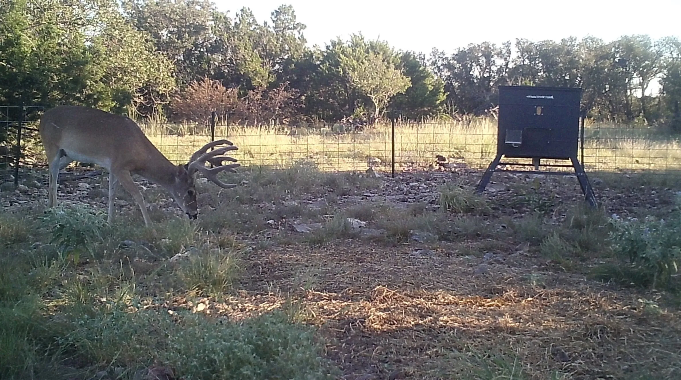 Unimproved Land For Sale in Edwards County , 919 SD 16010, Rocksprings, Texas 78880, 0, 0, Garage spaces, 0 Sqft, built in 2021, mls#20886651, Real Estate Agent in Rocksprings, Homes For Sale in Edwards county, Homes For Sale in Rocksprings, Realtor in Rocksprings Texas, Real Estate Brokerage Independent Realty Texas, Luminita Cordes Realtor