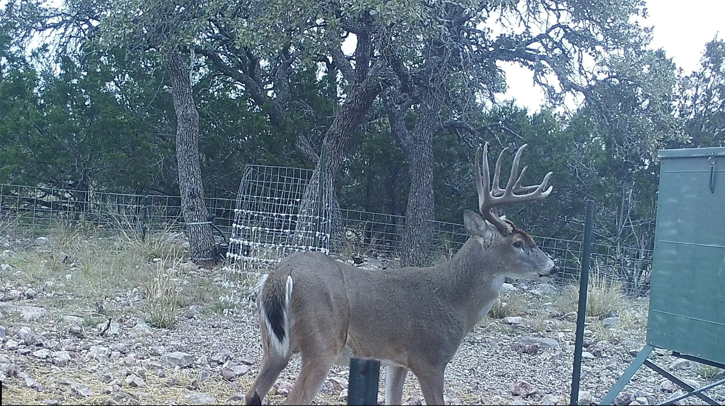 Unimproved Land For Sale in Edwards County , 919 SD 16010, Rocksprings, Texas 78880, 0, 0, Garage spaces, 0 Sqft, built in 2021, mls#20886651, Real Estate Agent in Rocksprings, Homes For Sale in Edwards county, Homes For Sale in Rocksprings, Realtor in Rocksprings Texas, Real Estate Brokerage Independent Realty Texas, Luminita Cordes Realtor