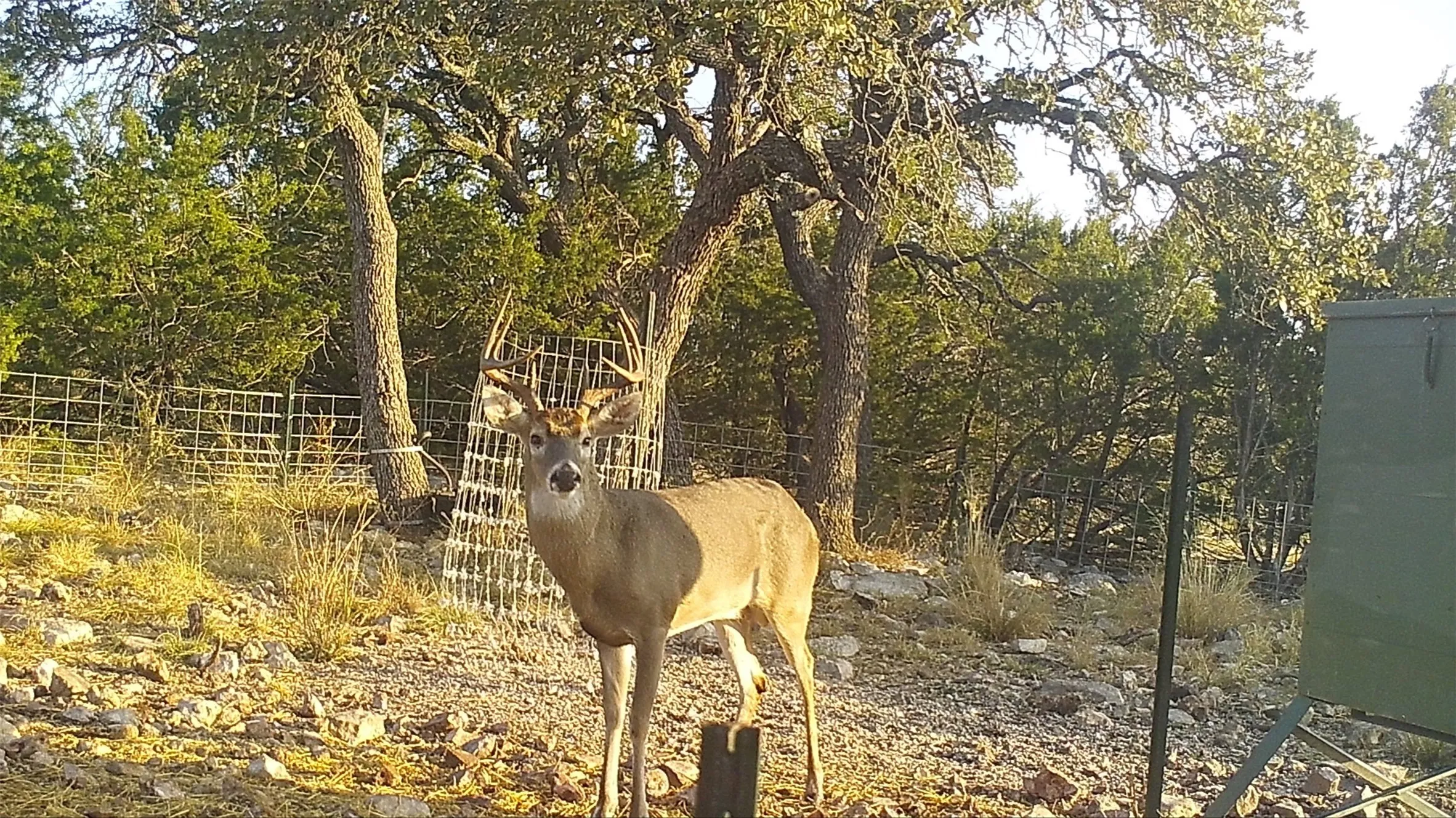 Unimproved Land For Sale in Edwards County , 919 SD 16010, Rocksprings, Texas 78880, 0, 0, Garage spaces, 0 Sqft, built in 2021, mls#20886651, Real Estate Agent in Rocksprings, Homes For Sale in Edwards county, Homes For Sale in Rocksprings, Realtor in Rocksprings Texas, Real Estate Brokerage Independent Realty Texas, Luminita Cordes Realtor