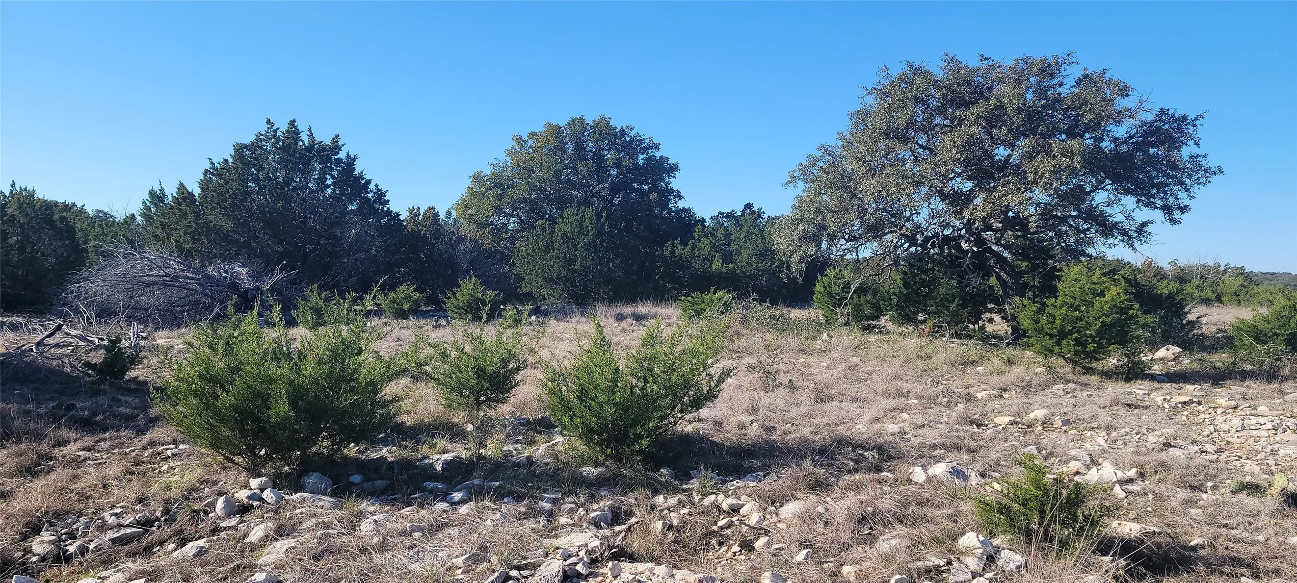 Unimproved Land For Sale in Edwards County , 919 SD 16010, Rocksprings, Texas 78880, 0, 0, Garage spaces, 0 Sqft, built in 2021, mls#20886651, Real Estate Agent in Rocksprings, Homes For Sale in Edwards county, Homes For Sale in Rocksprings, Realtor in Rocksprings Texas, Real Estate Brokerage Independent Realty Texas, Luminita Cordes Realtor