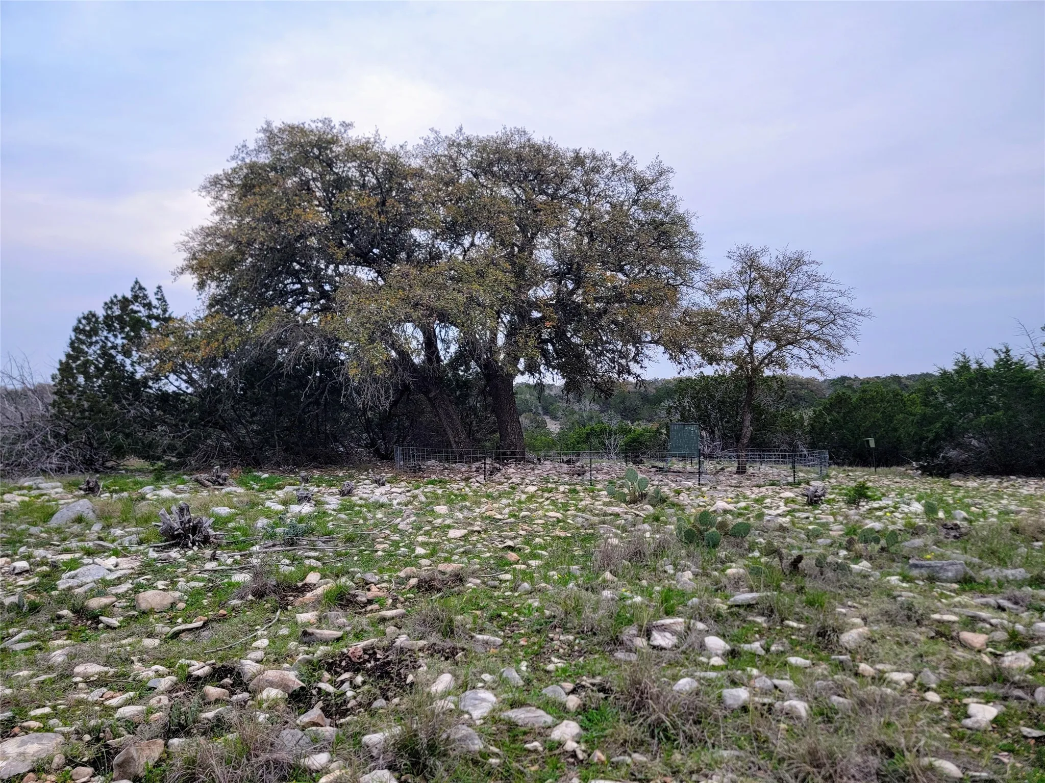 Unimproved Land For Sale in Edwards County , 919 SD 16010, Rocksprings, Texas 78880, 0, 0, Garage spaces, 0 Sqft, built in 2021, mls#20886651, Real Estate Agent in Rocksprings, Homes For Sale in Edwards county, Homes For Sale in Rocksprings, Realtor in Rocksprings Texas, Real Estate Brokerage Independent Realty Texas, Luminita Cordes Realtor