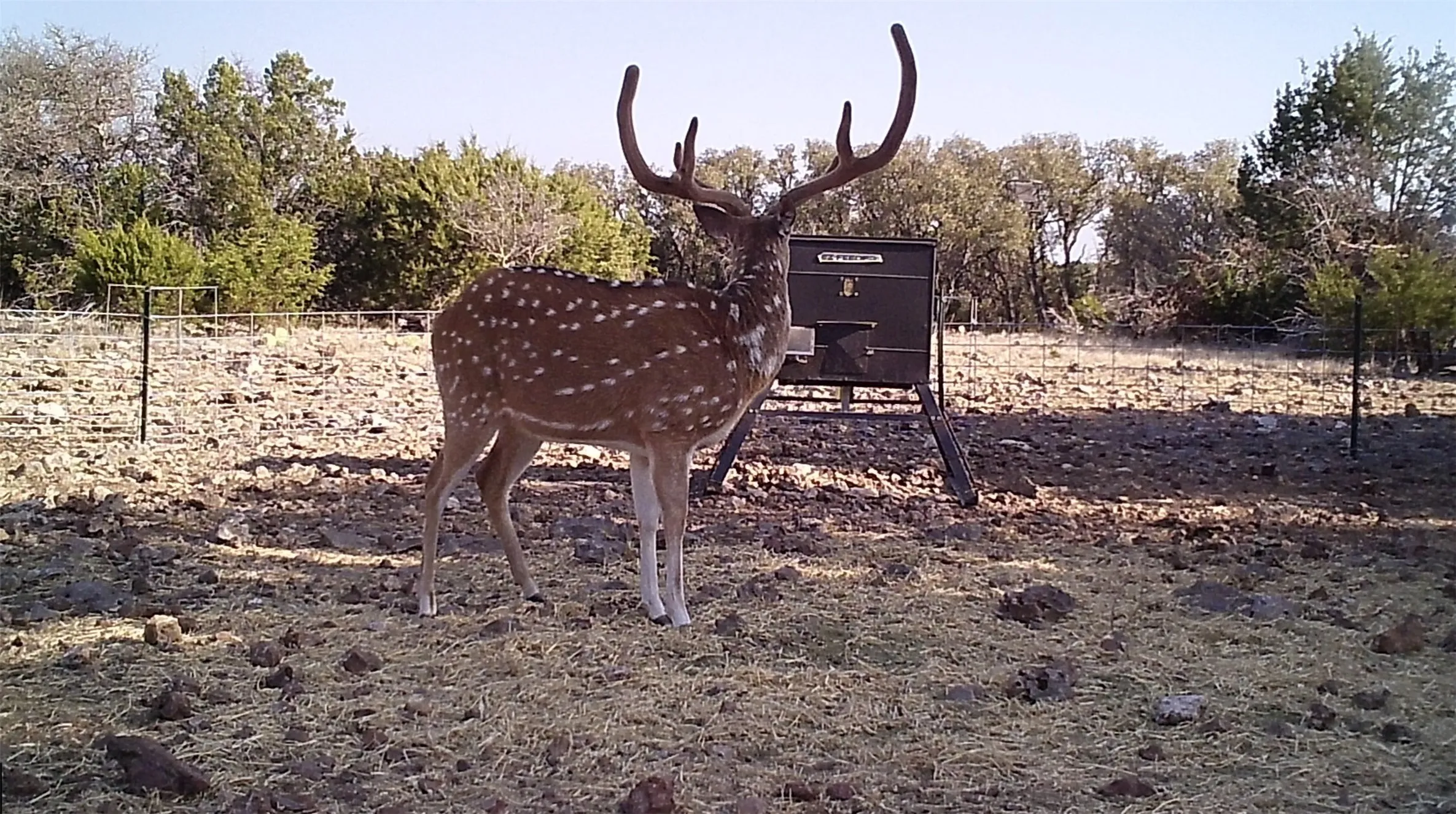 Unimproved Land For Sale in Edwards County , 919 SD 16010, Rocksprings, Texas 78880, 0, 0, Garage spaces, 0 Sqft, built in 2021, mls#20886651, Real Estate Agent in Rocksprings, Homes For Sale in Edwards county, Homes For Sale in Rocksprings, Realtor in Rocksprings Texas, Real Estate Brokerage Independent Realty Texas, Luminita Cordes Realtor