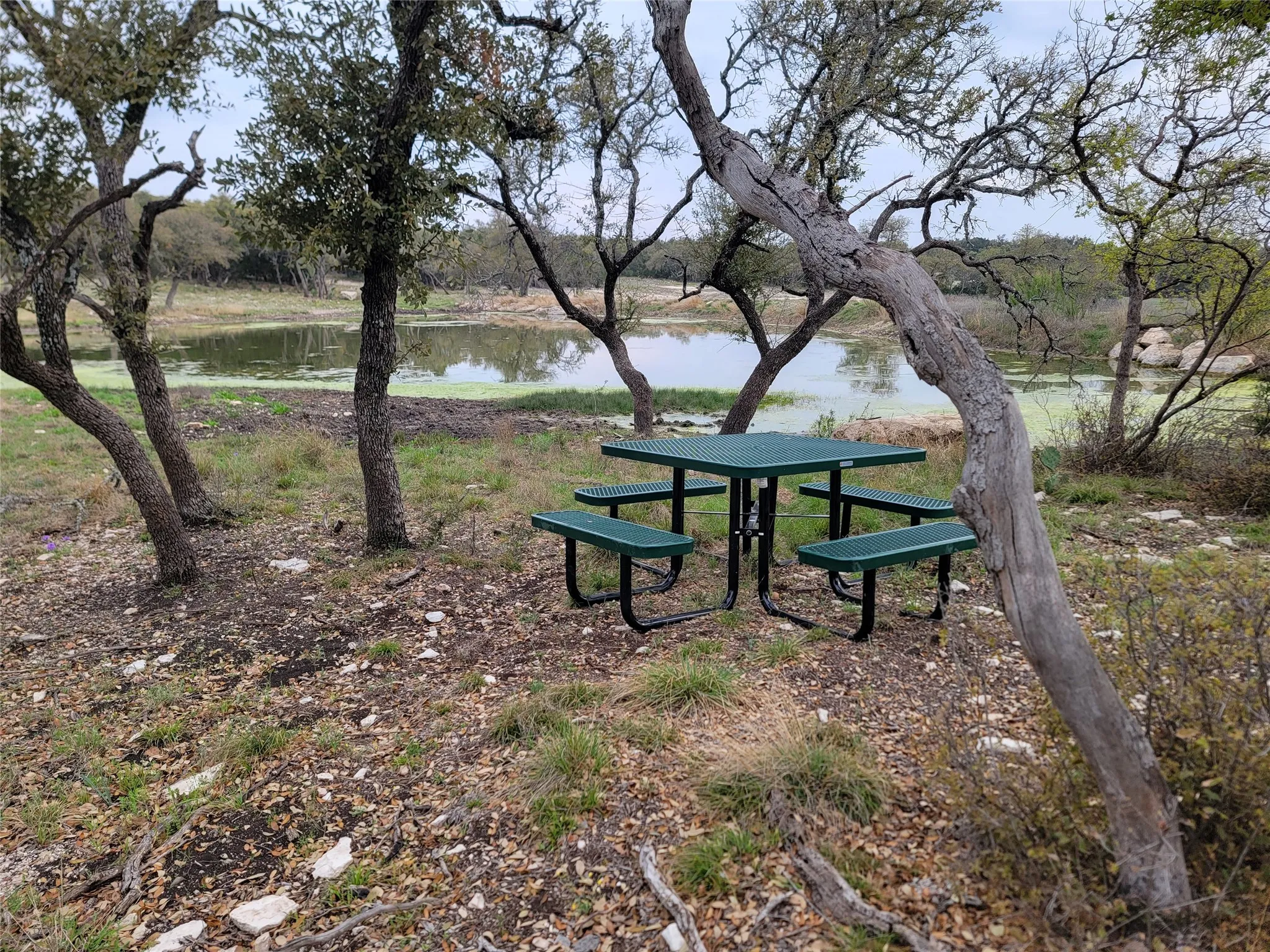 Unimproved Land For Sale in Edwards County , 919 SD 16010, Rocksprings, Texas 78880, 0, 0, Garage spaces, 0 Sqft, built in 2021, mls#20886651, Real Estate Agent in Rocksprings, Homes For Sale in Edwards county, Homes For Sale in Rocksprings, Realtor in Rocksprings Texas, Real Estate Brokerage Independent Realty Texas, Luminita Cordes Realtor