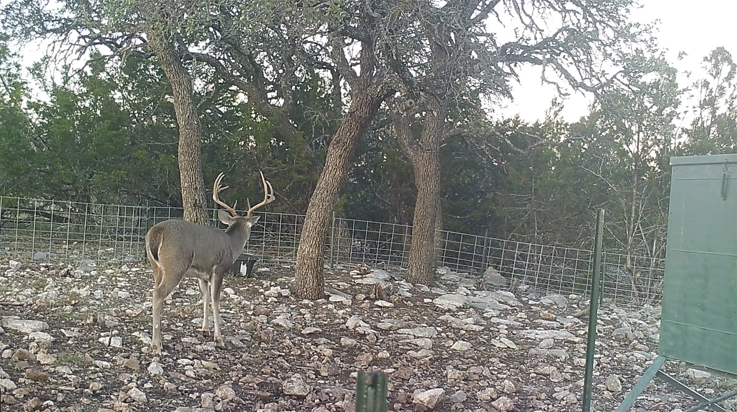 Unimproved Land For Sale in Edwards County , 919 SD 16010, Rocksprings, Texas 78880, 0, 0, Garage spaces, 0 Sqft, built in 2021, mls#20886651, Real Estate Agent in Rocksprings, Homes For Sale in Edwards county, Homes For Sale in Rocksprings, Realtor in Rocksprings Texas, Real Estate Brokerage Independent Realty Texas, Luminita Cordes Realtor