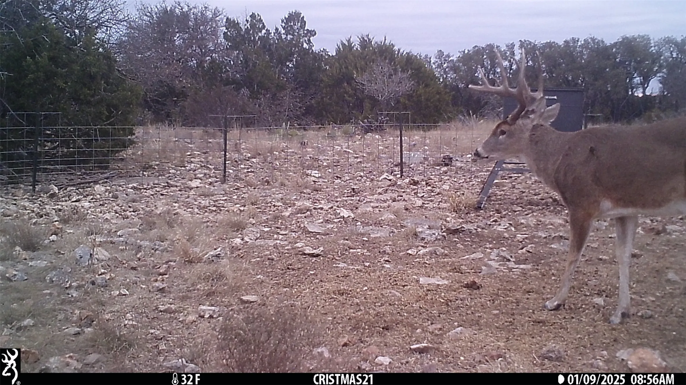 Unimproved Land For Sale in Edwards County , 919 SD 16010, Rocksprings, Texas 78880, 0, 0, Garage spaces, 0 Sqft, built in 2021, mls#20886651, Real Estate Agent in Rocksprings, Homes For Sale in Edwards county, Homes For Sale in Rocksprings, Realtor in Rocksprings Texas, Real Estate Brokerage Independent Realty Texas, Luminita Cordes Realtor